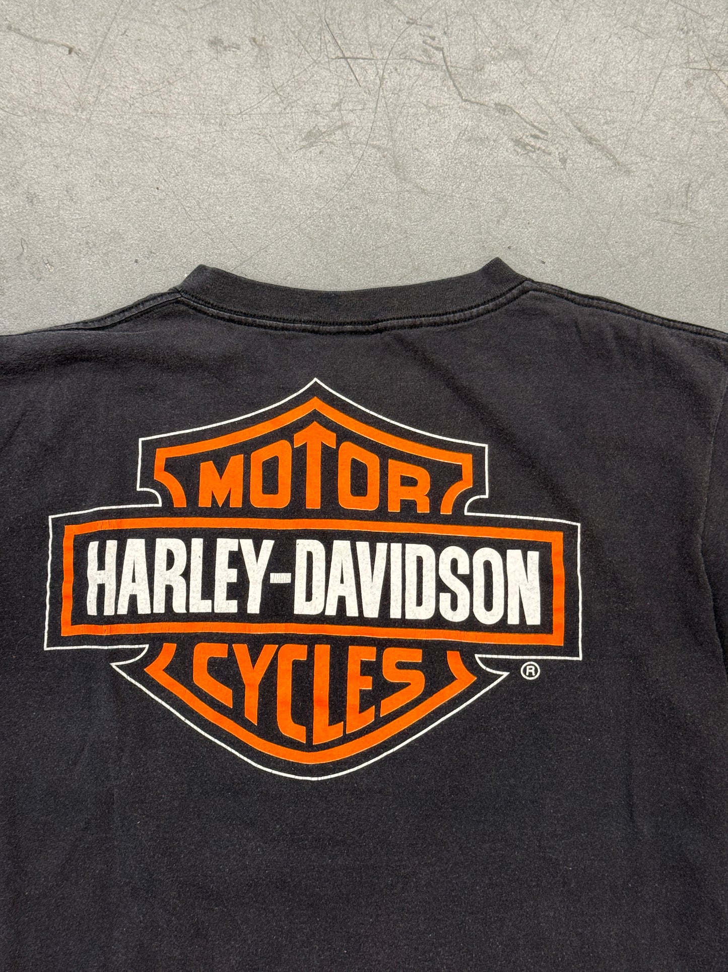 1996 HARLEY-DAVIDSON "A LEGEND CARVED IN STONE" TEE