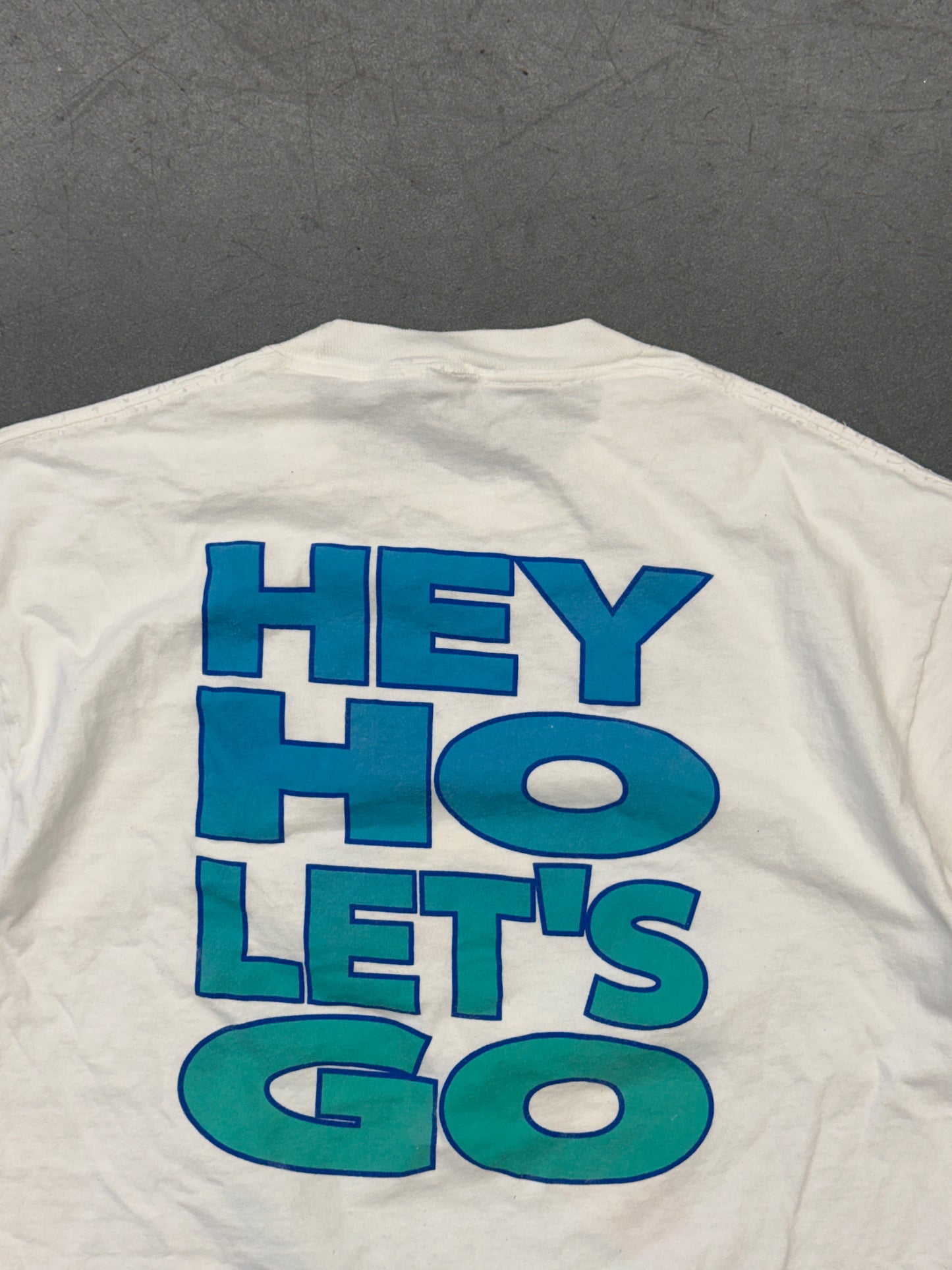 1995 RAMONES SURFING "GABBA GABBA HEY" "HEY HO LET'S GO" TEE (ANVIL TAG)