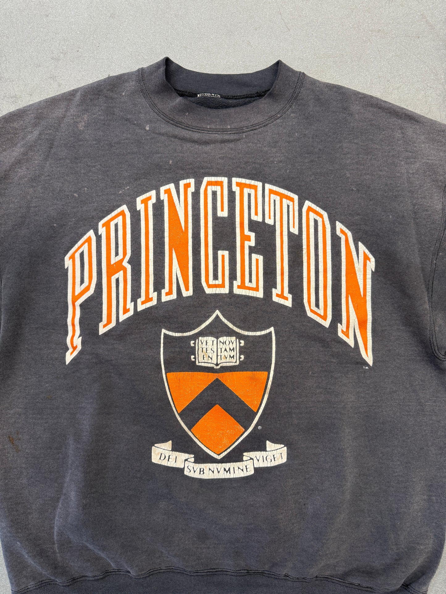 80S PRINCETON UNIVERSITY FADED CREWNECK (PULLED TAG)