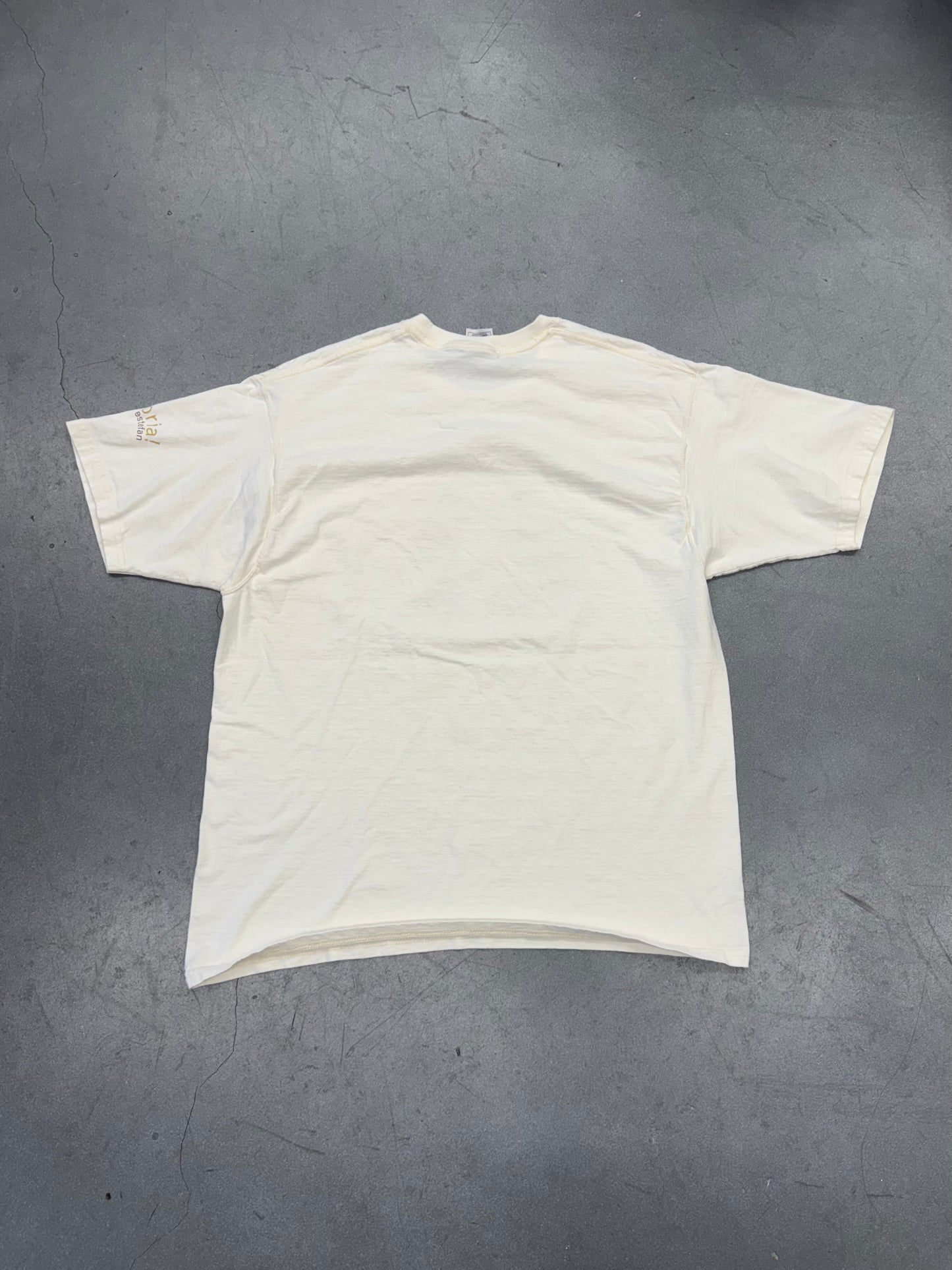 90S GLORIA ESTEFAN PORTRAIT TEE (FOTL TAG)