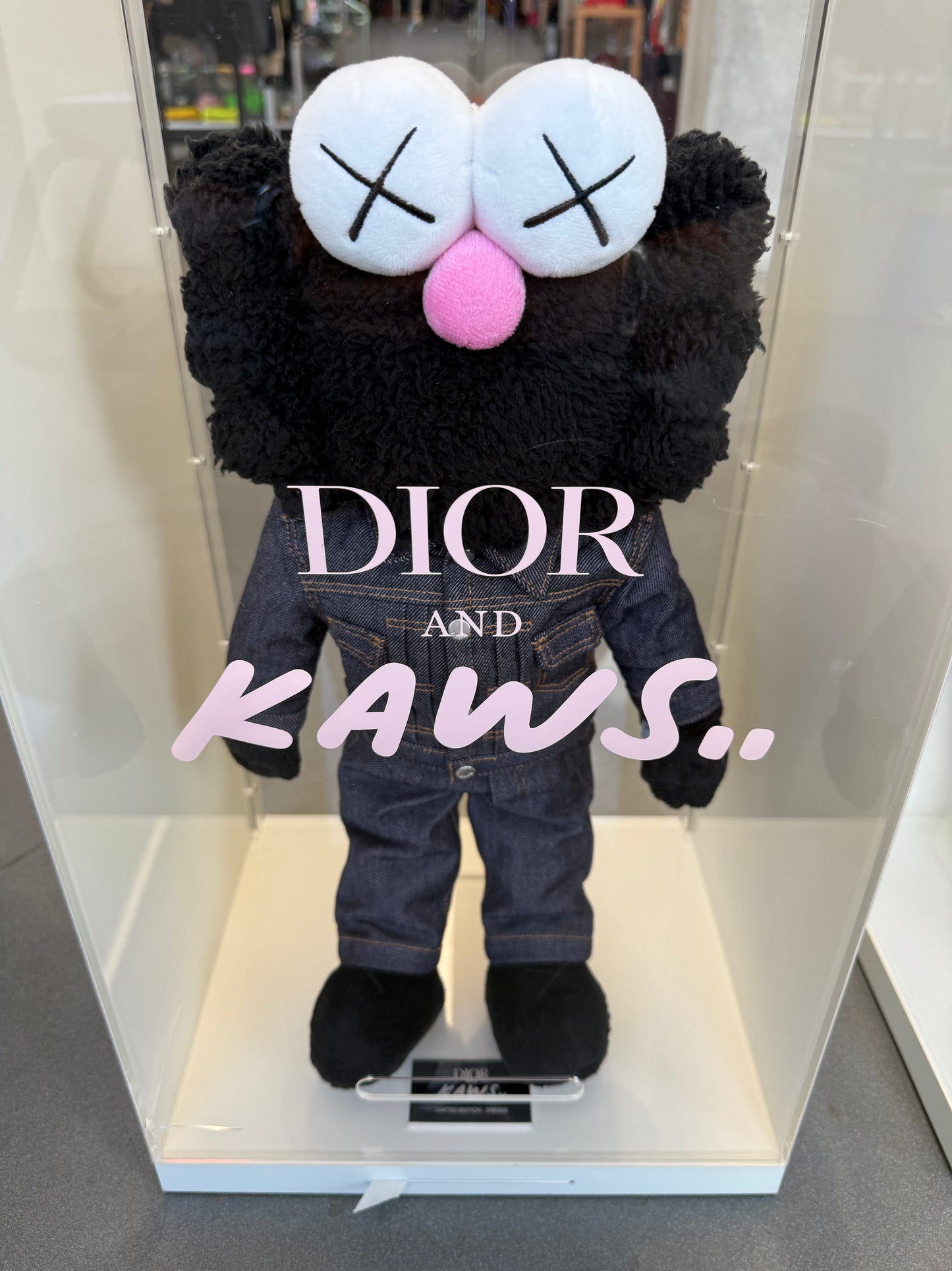 2019 KAWS BFF DIOR PLUSH SET OF 2 PINK #439 & BLACK #336