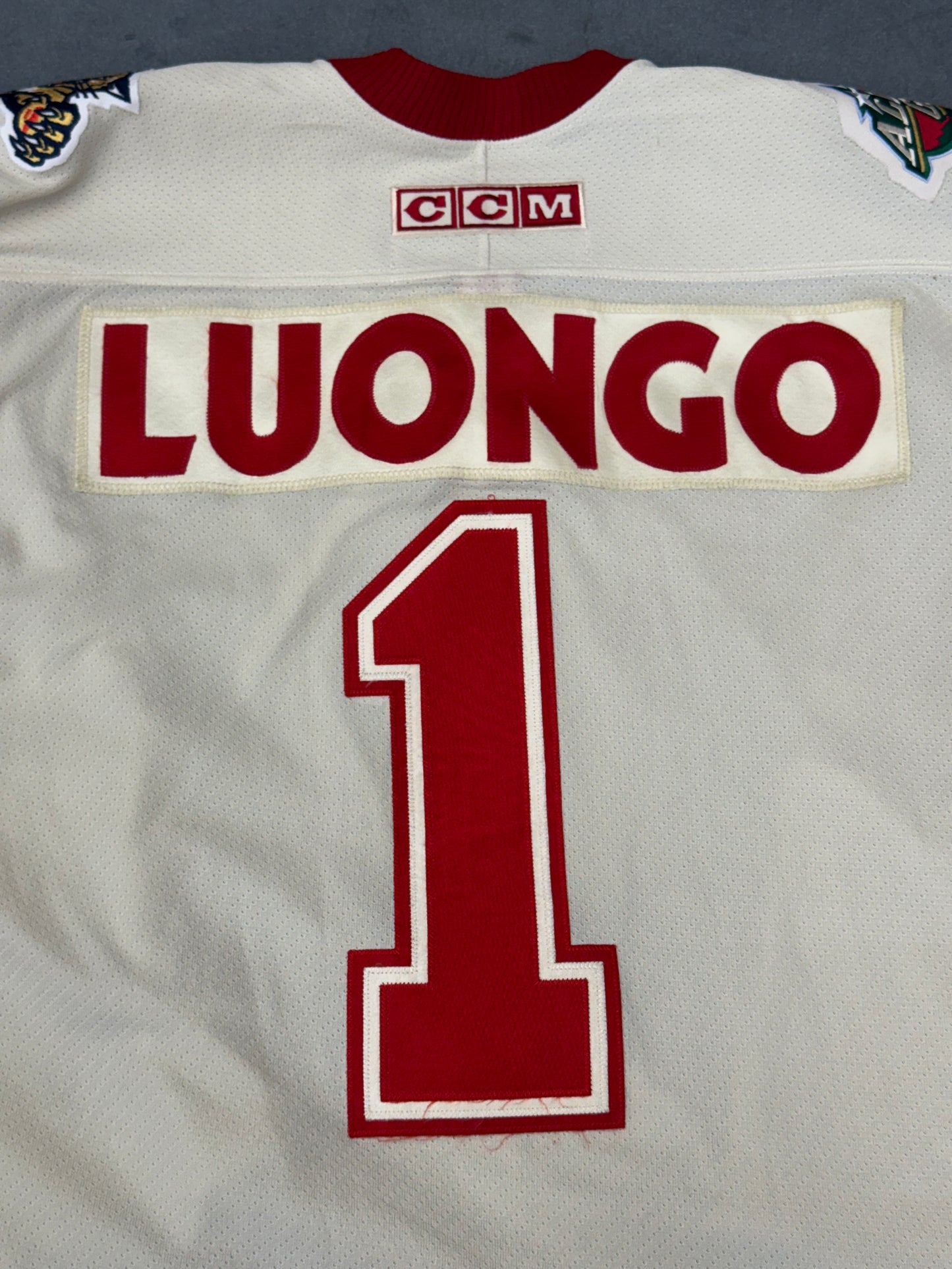 2004 NHL ALL-STAR GAME MINNESOTA ROBERT LUONGO CCM HOCKEY JERSEY
