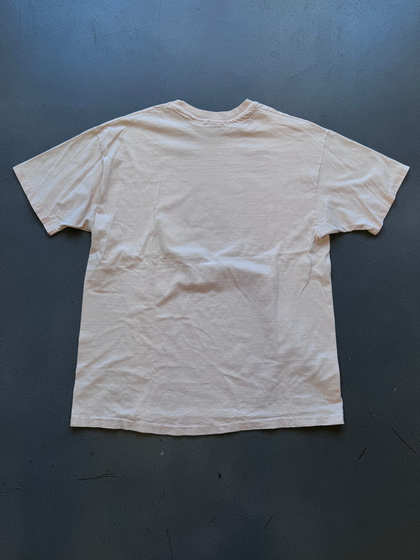 90'S MATISSE VASE WITH PLANTS TEE (HANES TAG)