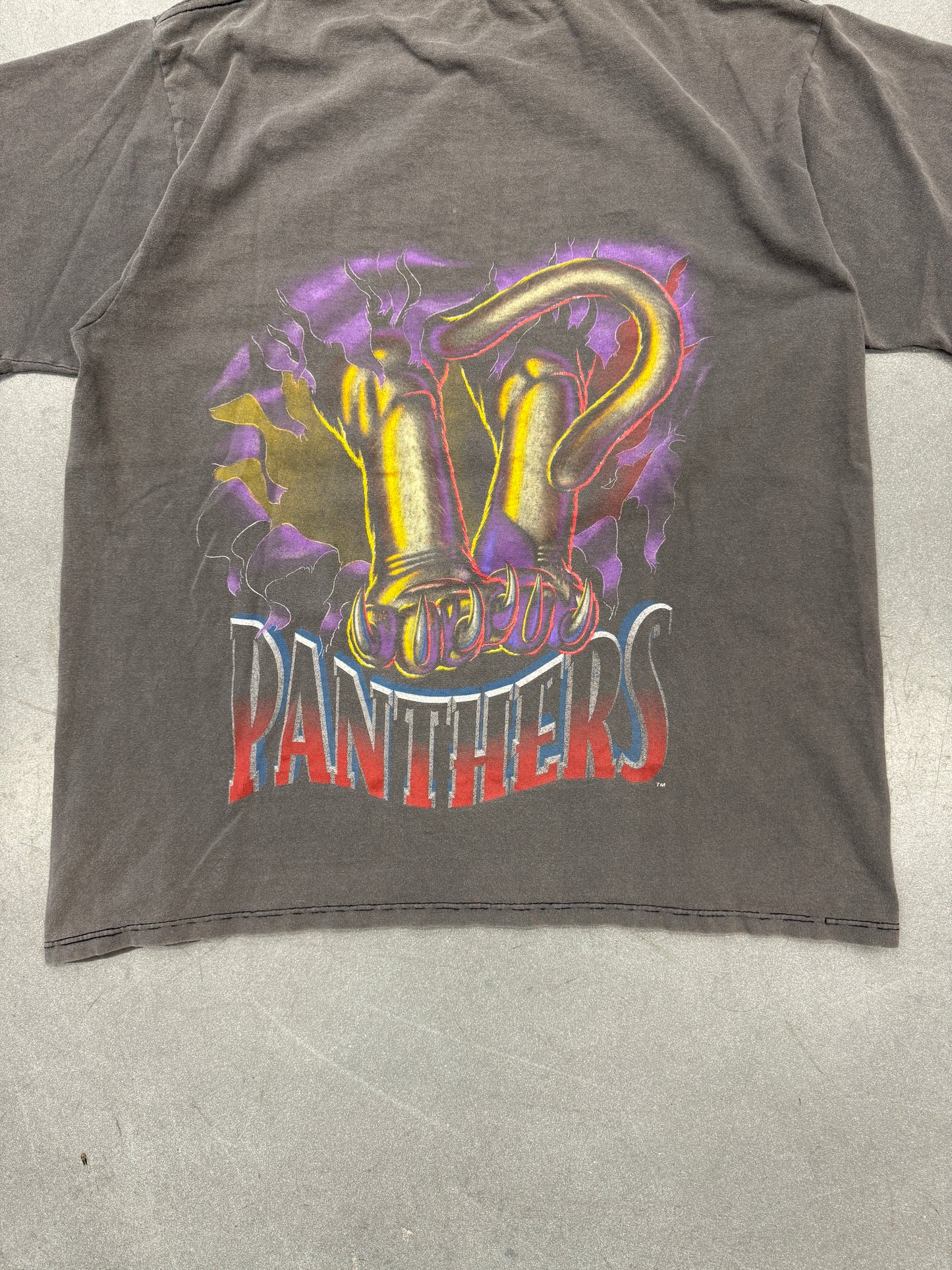 90'S FLORIDA PANTHERS BREAKTHROUGH NUTMEG TEE (PULLED TAG)
