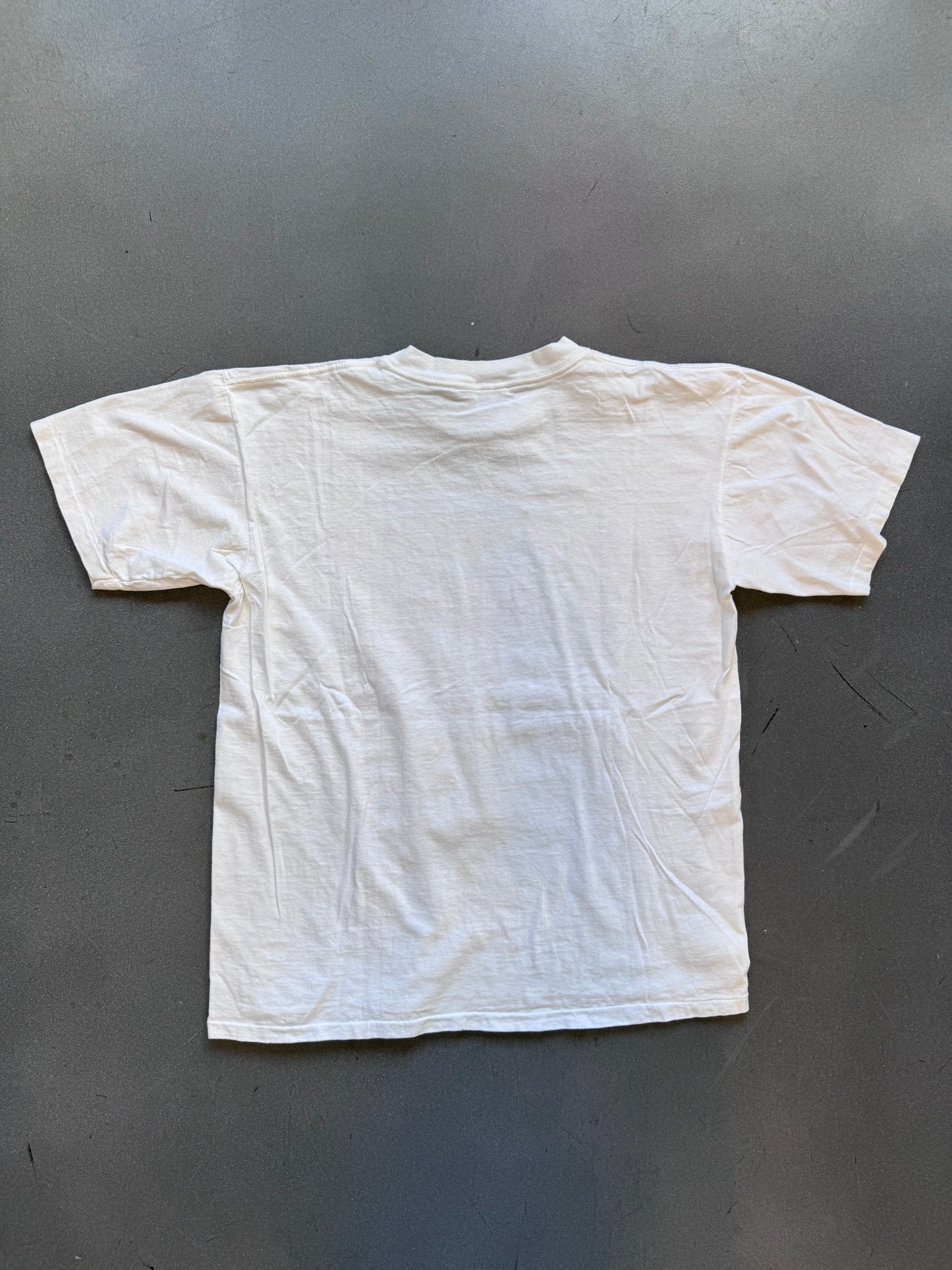 1991 NBA WORLD CHAMPIONS CHICAGO BULLS CARICATURE TEAM TEE (ONEITA TAG)