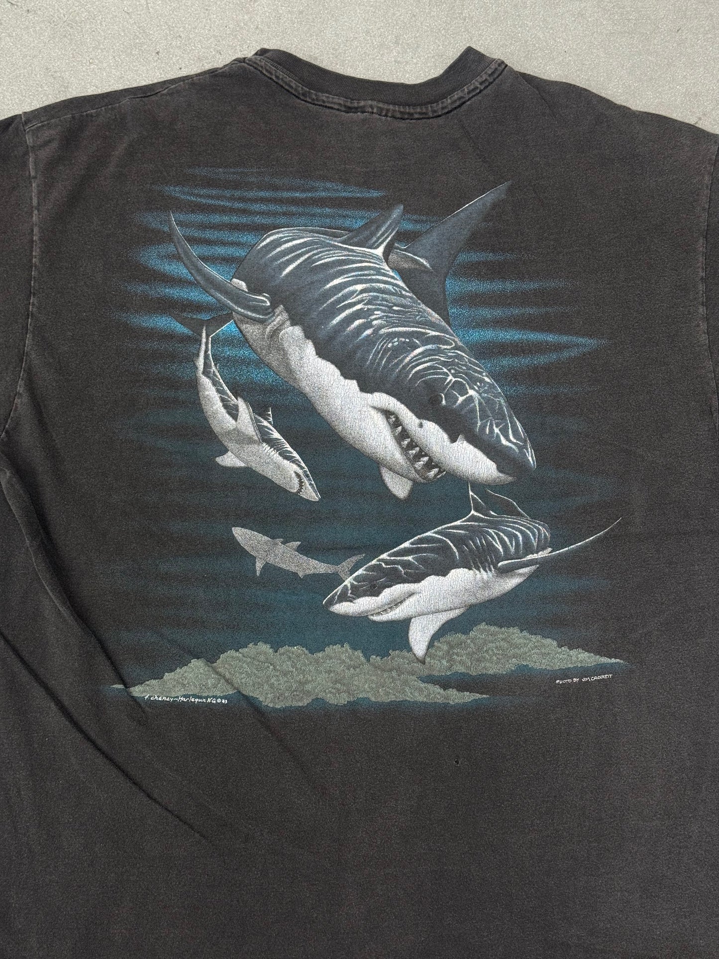 1993 HARLEQUIN GREAT WHITE SHARKS TEE (HANES TAG)