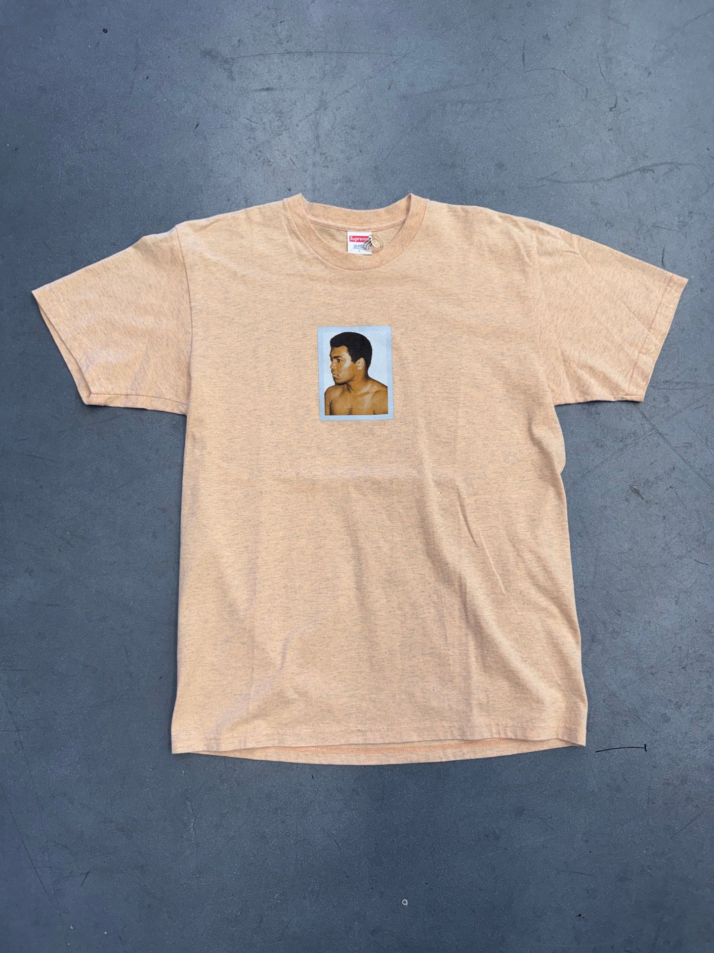 SS16 SUPREME ALIWARHOL TEE