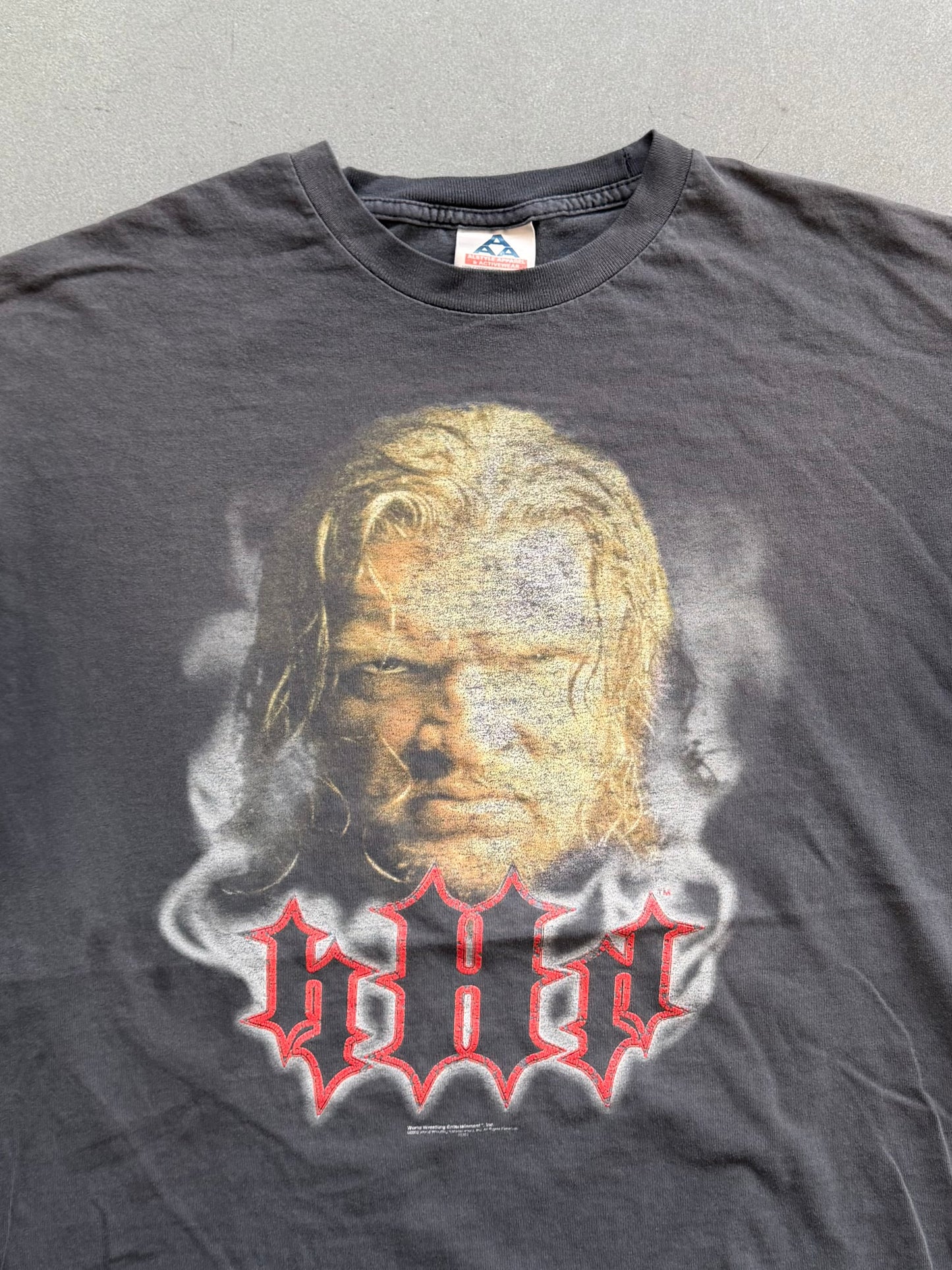 2002 WWE TRIPLE H "IT'S A WHOLE NEW GAME!" TEE (AAA TAG)