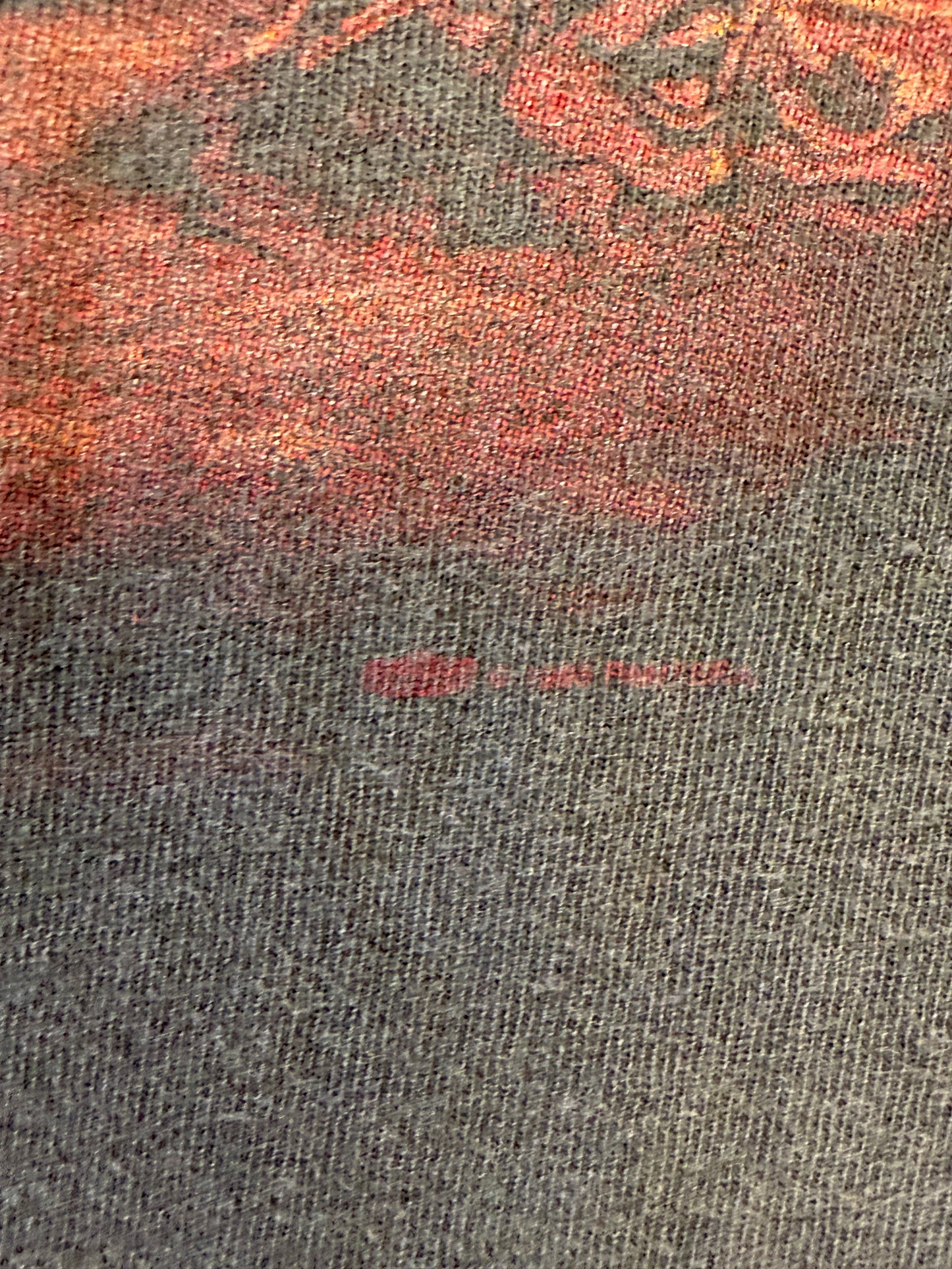 PANTERA I GOT MY ASS BRANDED DISTRESSED FADED TEE (TULTEX TAG)