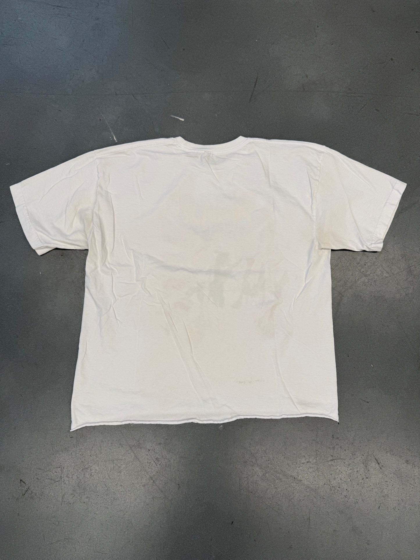 00'S DINOSAUR JR ANIME GIRL SMOKING CROPPED TEE (PULLED TAG)