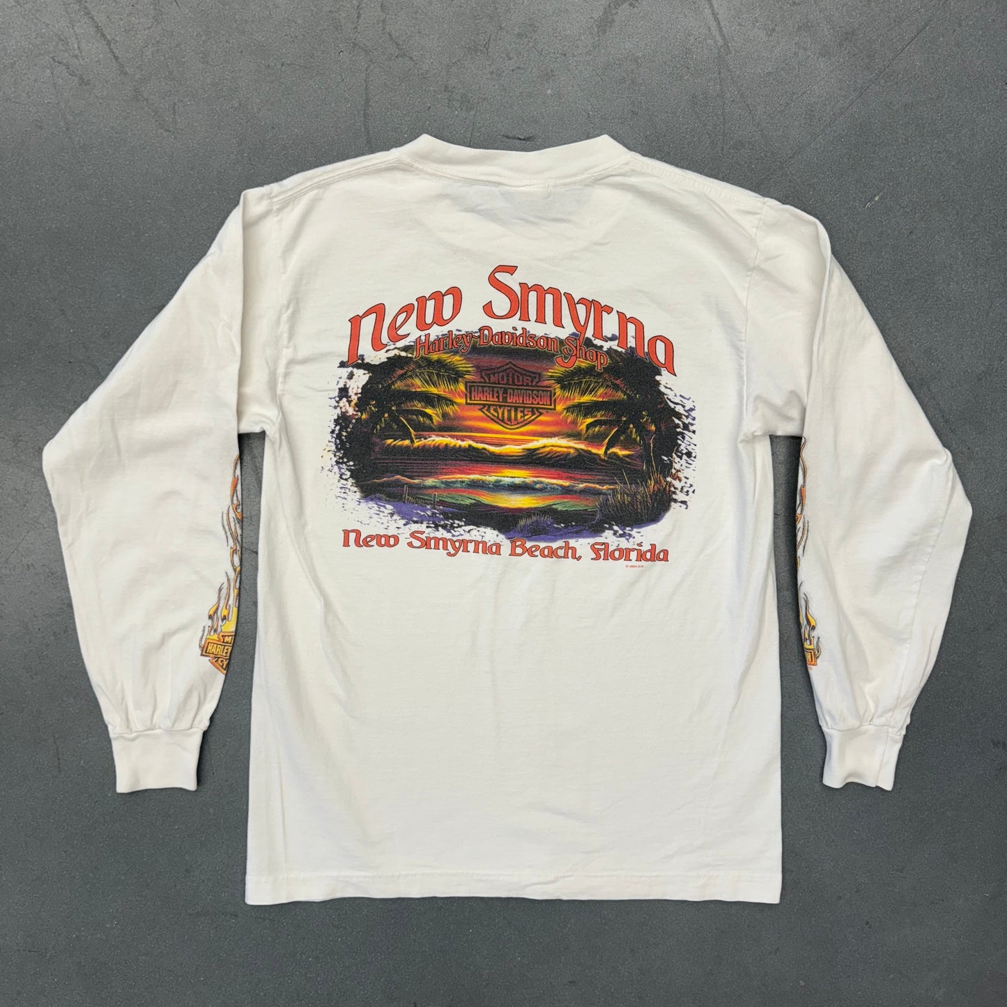 2004 HARLEY-DAVIDSON FLAME LS NEW SMYRNA BEACH, FLORIDA