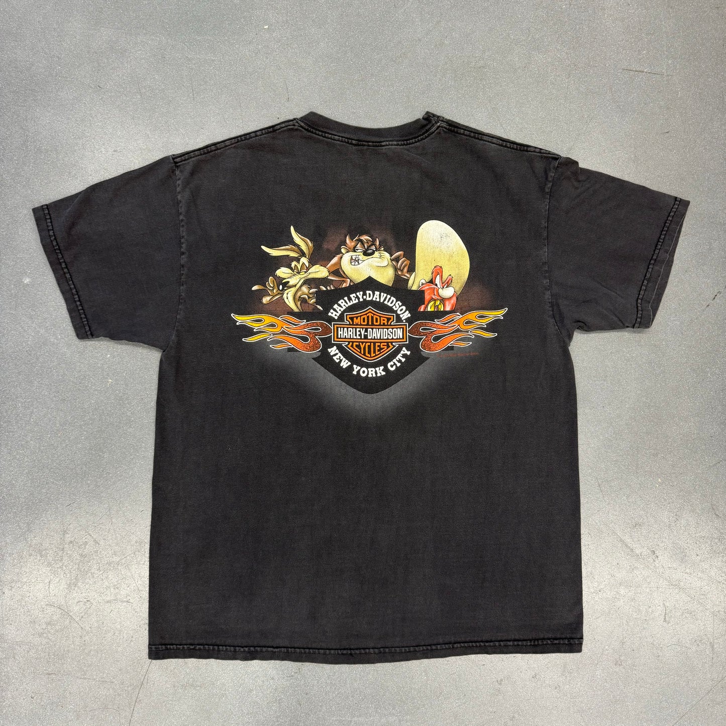 HARLEY-DAVIDSON TAZ RIDING MOTORCYCLE NEW YORK CITY