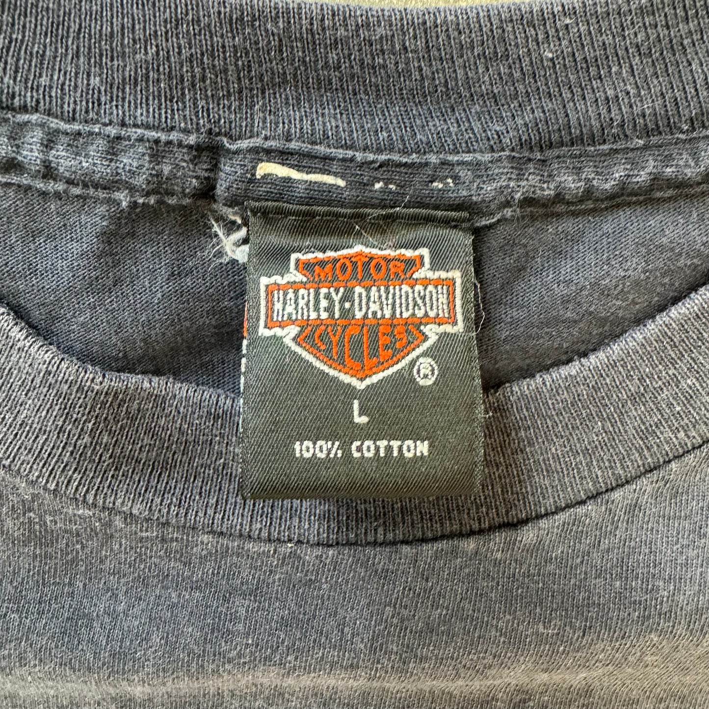 HARLEY-DAVIDSON BRUTE FORCE ENGINE LIGHTNING MEXICO 1995