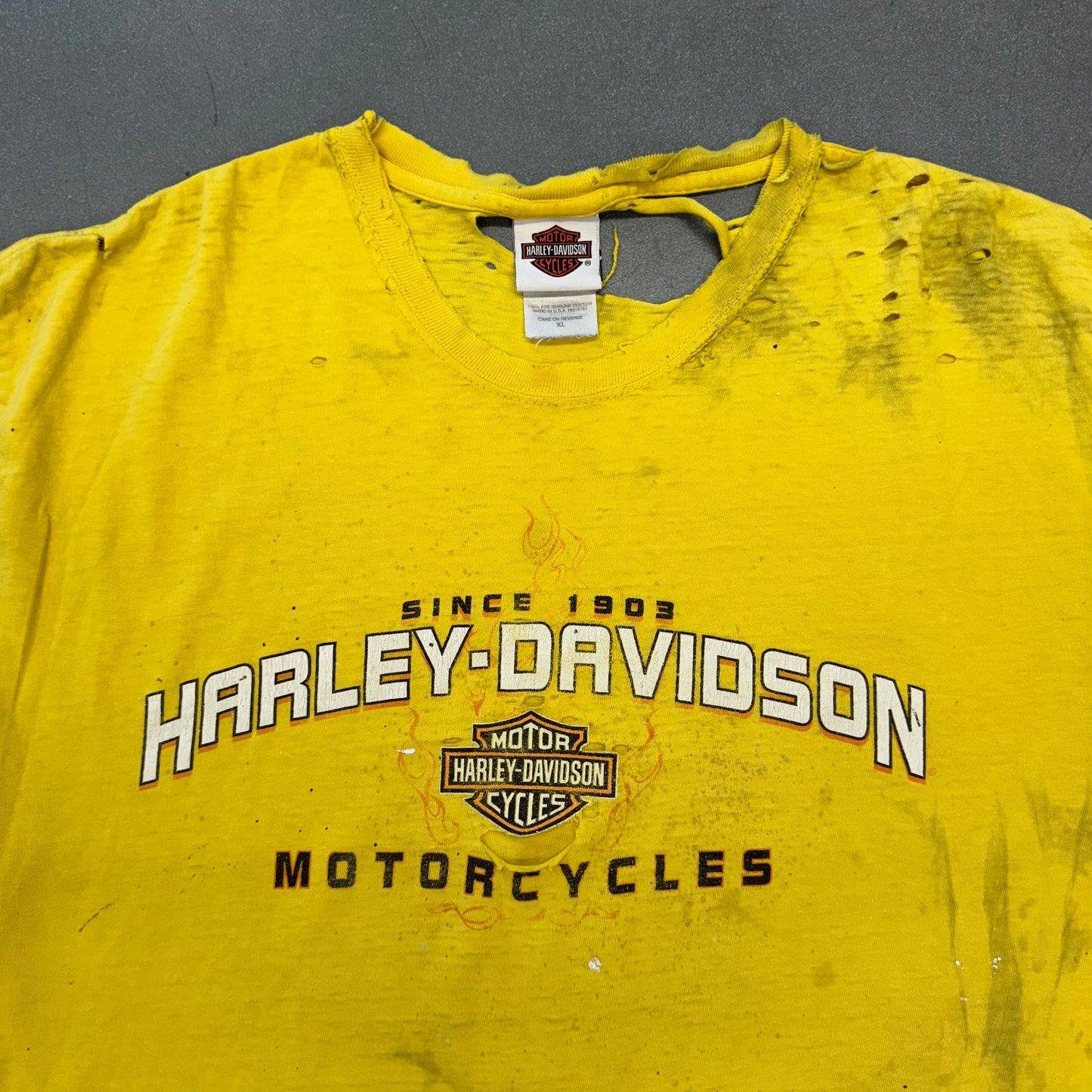 HARLEY-DAVIDSON THRASHED TO SHIT FLAME EAGLE
