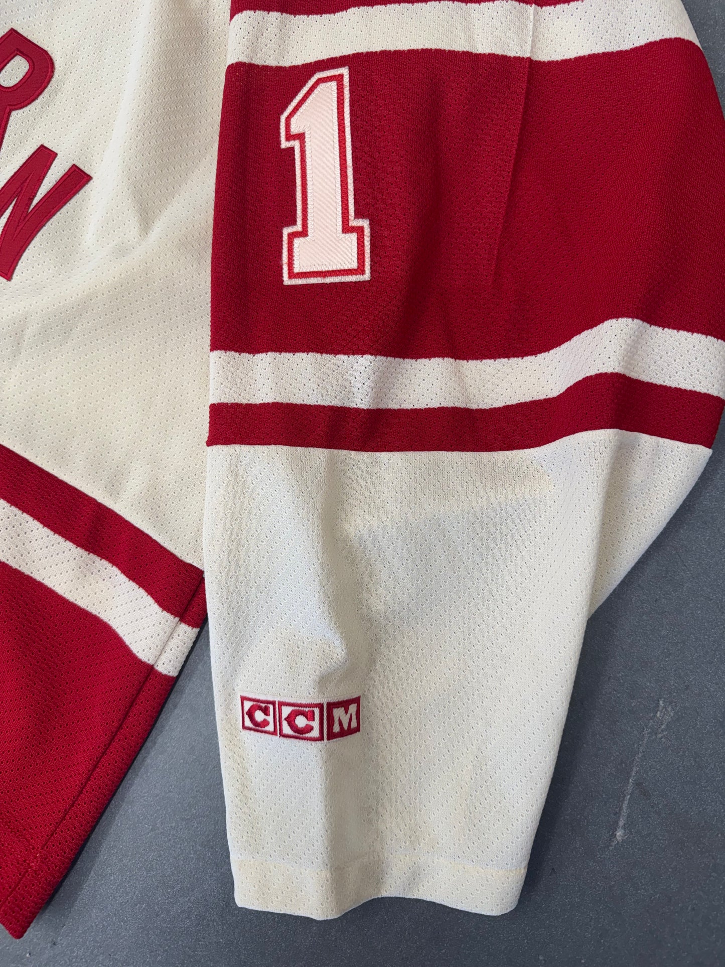 2004 NHL ALL-STAR GAME MINNESOTA ROBERT LUONGO CCM HOCKEY JERSEY