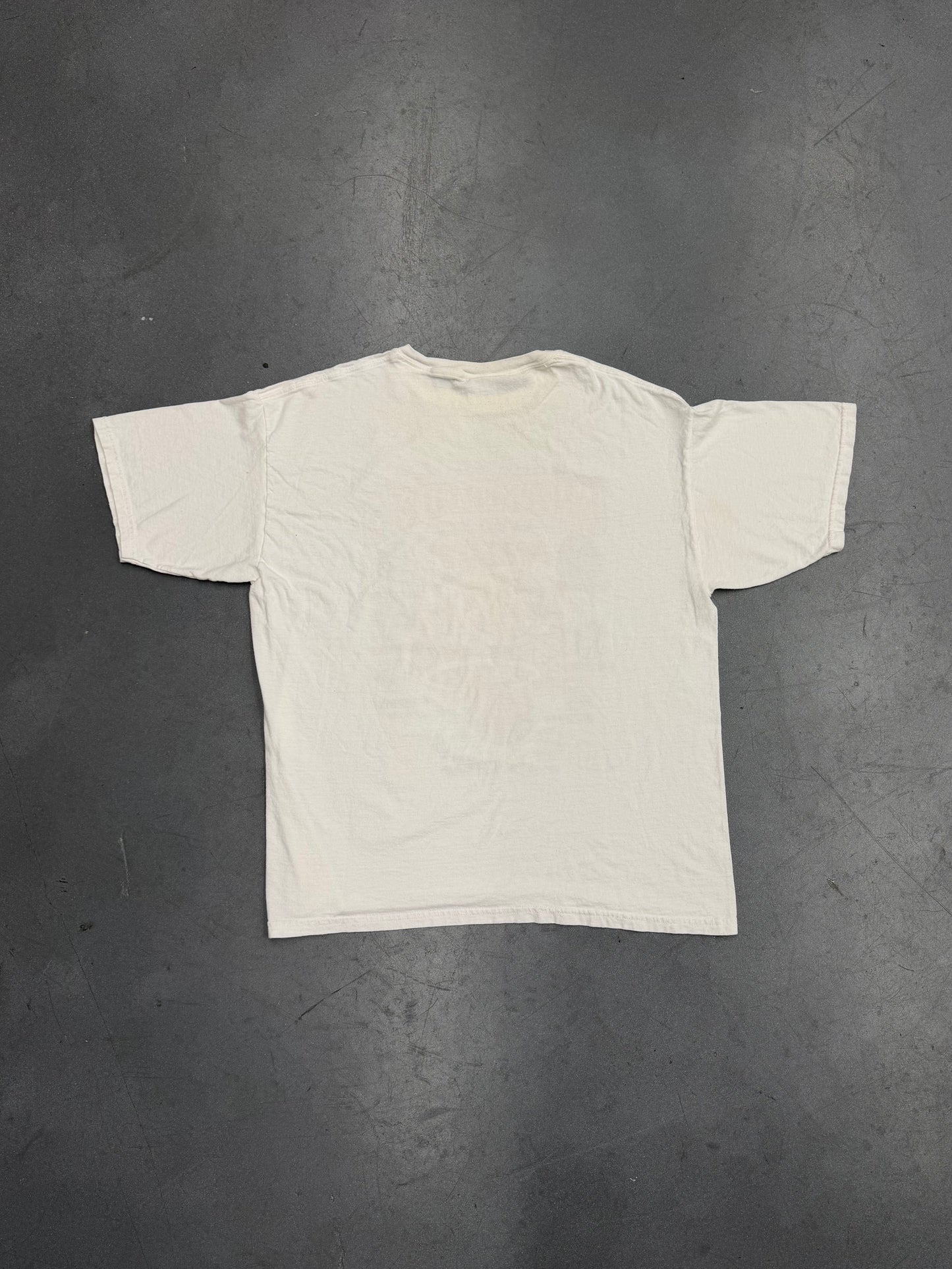 2006 MIAMI HEAT WORLD CHAMPIONS CHAMPIONSHIP RING TEE (GILDAN TAG)