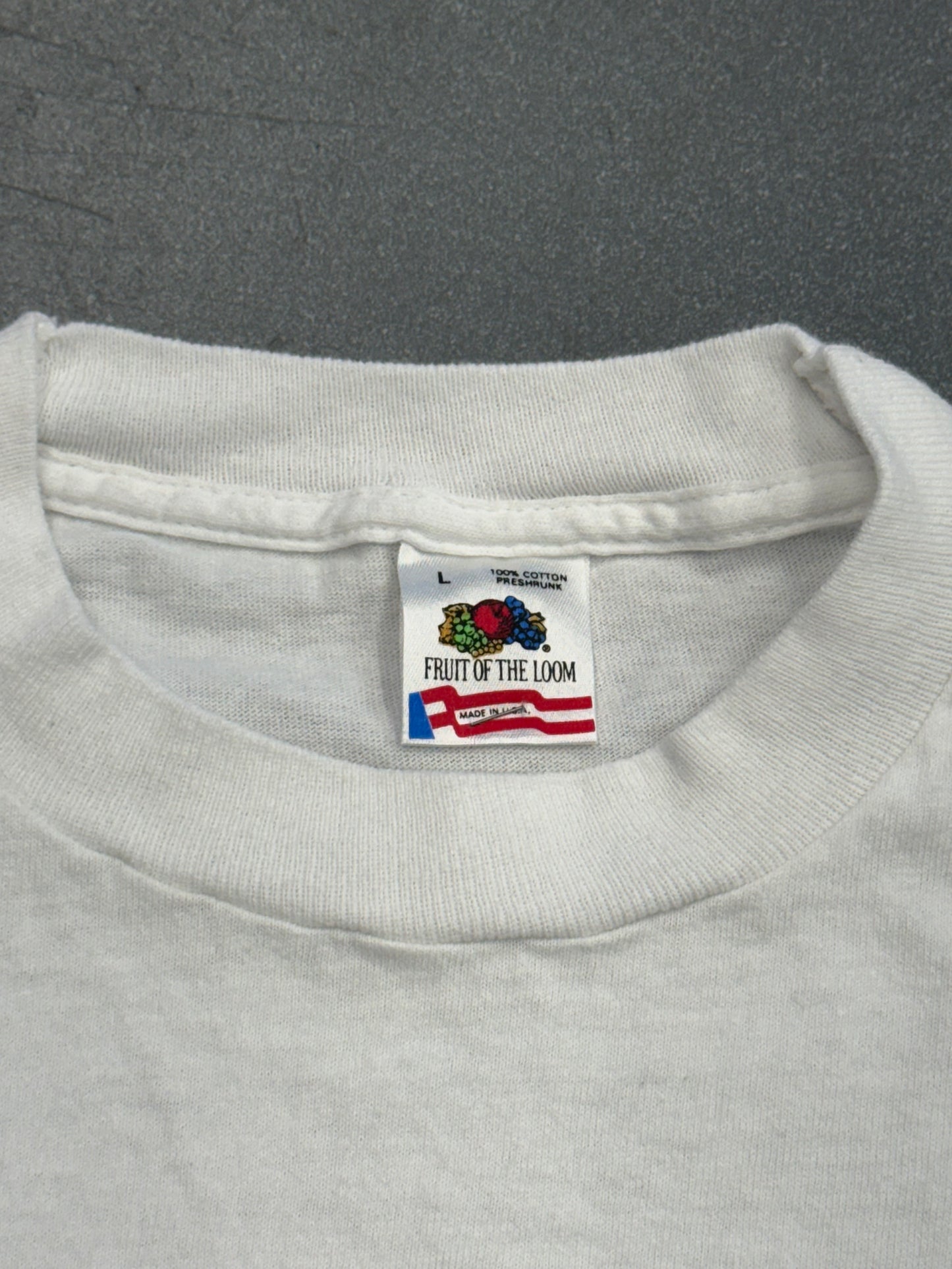 90S WASHINGTON D.C. "SEE IT LIKE A NATIVE!" TEE (FOTL TAG)