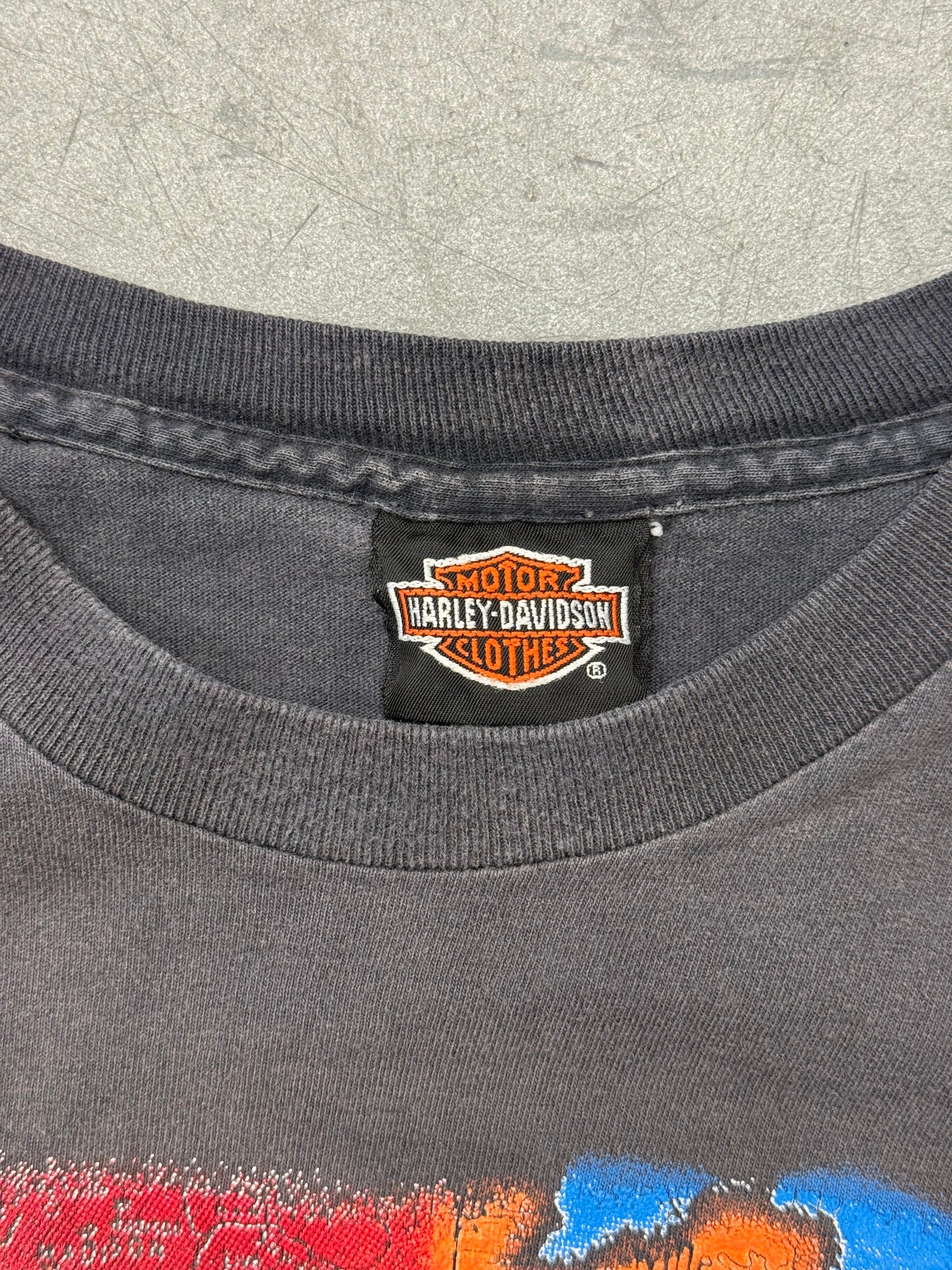 1993 HARLEY-DAVIDSON SOUTHERN SPORTSWEAR BIKE WEEK DAYTONA BEACH USA TEE (HARLEY-DAVIDSON TAG)