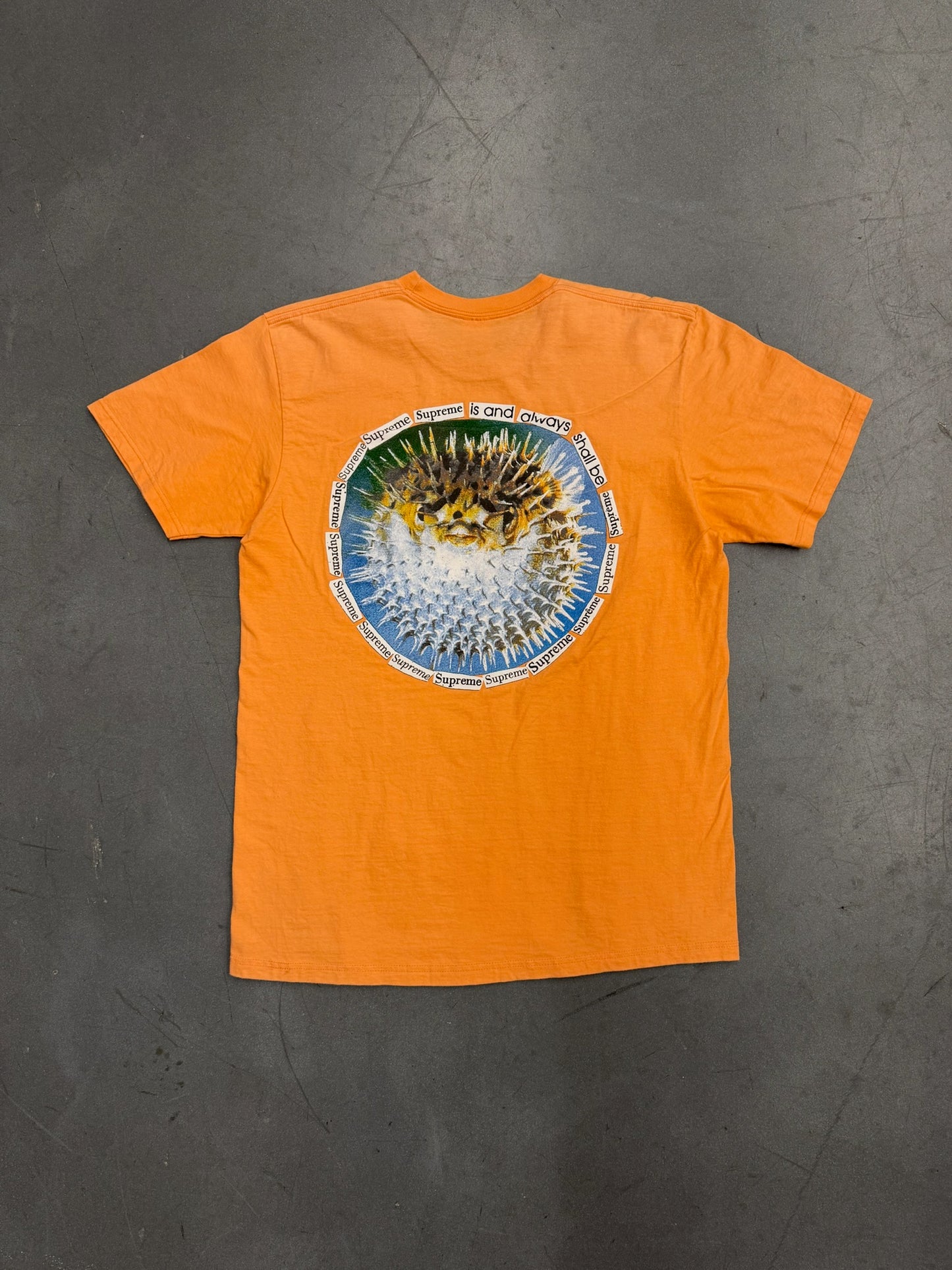 SS23 SUPREME BLOWFISH TEE - PEACH
