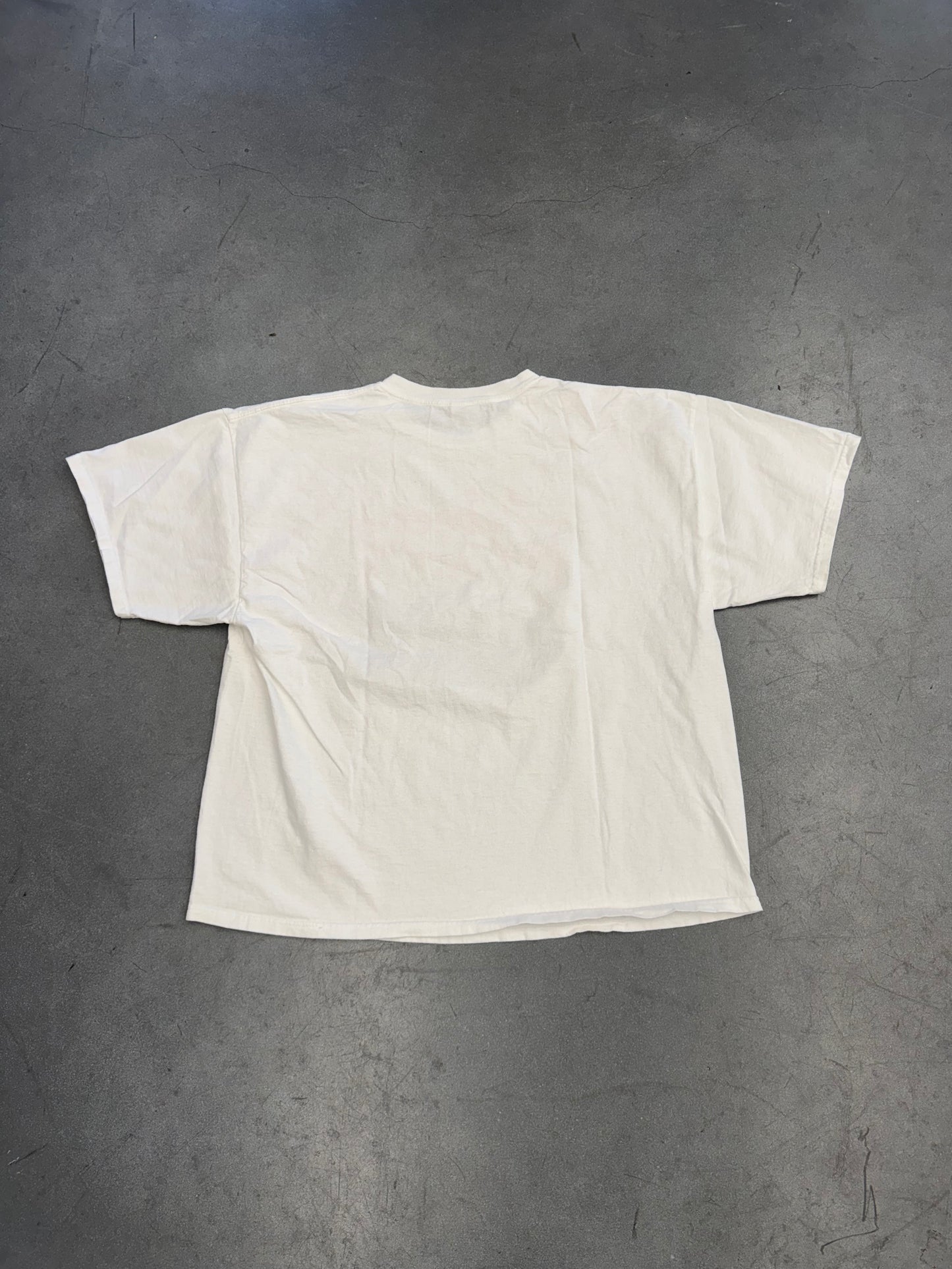 00'S MEET THE FUCKERS PARODY TEE (DELTA PRO WEIGHT TAG)