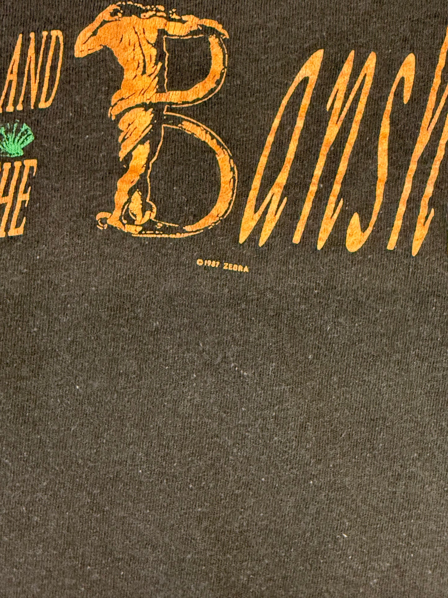 1987 SIOUXSIE AND THE BANSHEES ZEBRA TEE (CUT SCREEN STARS TAG)