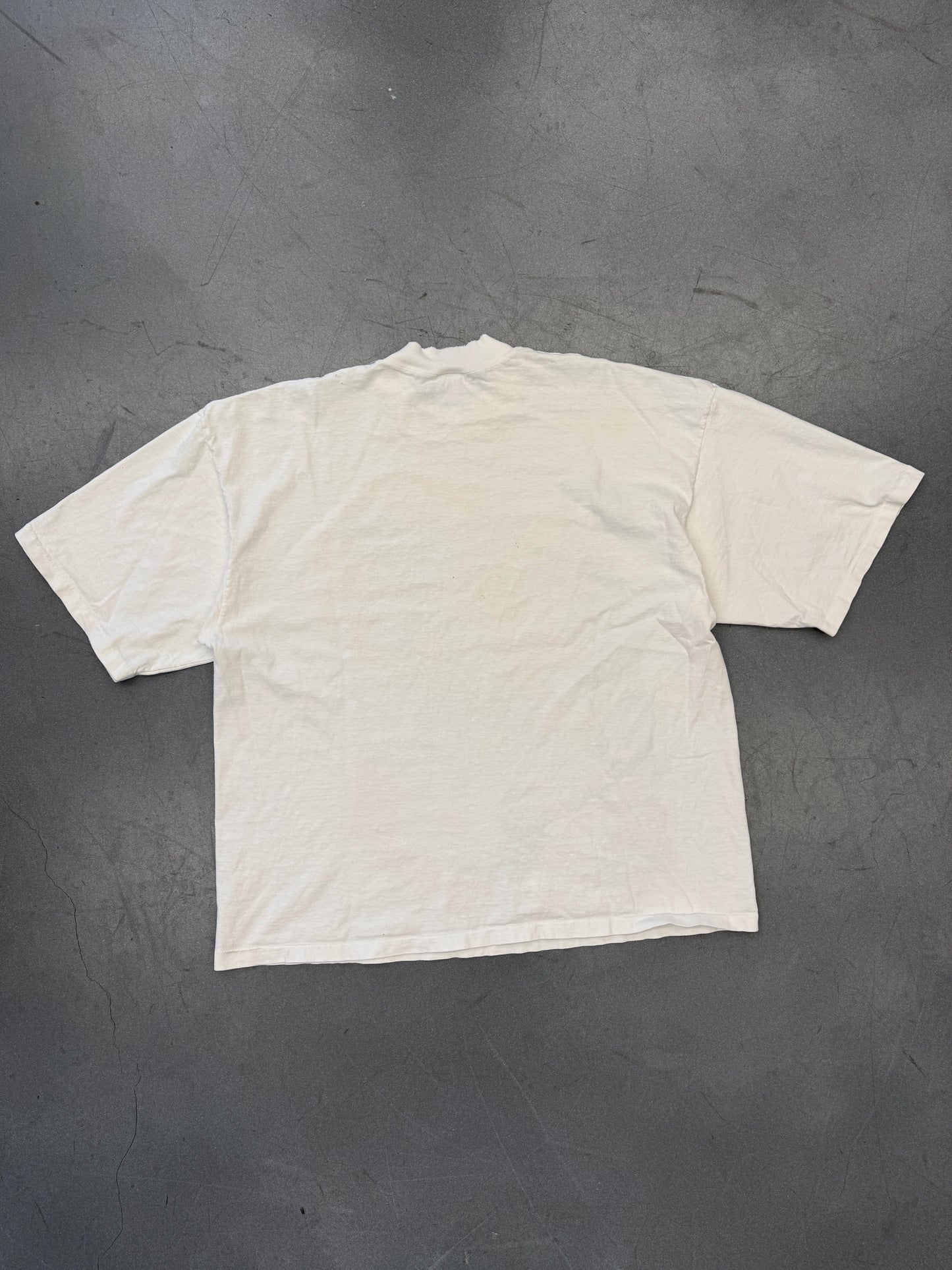 90S UNIVERSITY OF MIAMI CANES SUNSET TEE (APEX ONE VARSITY TAG)