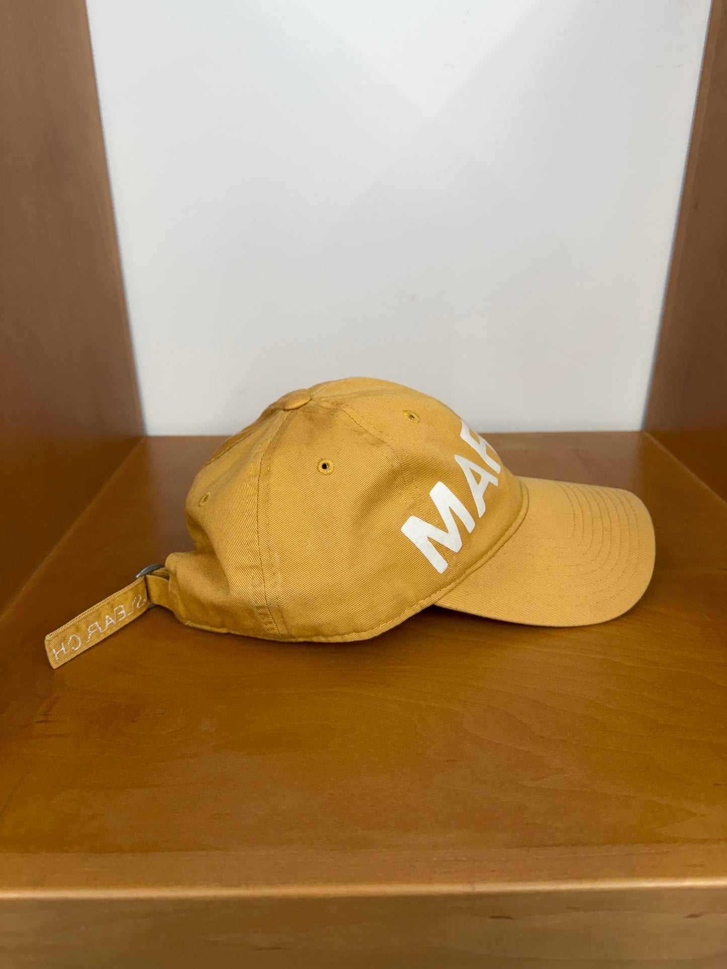 CACTUS PLANT FLEA MARKET REASEARCH YARDWORK CAP STRAPBACK