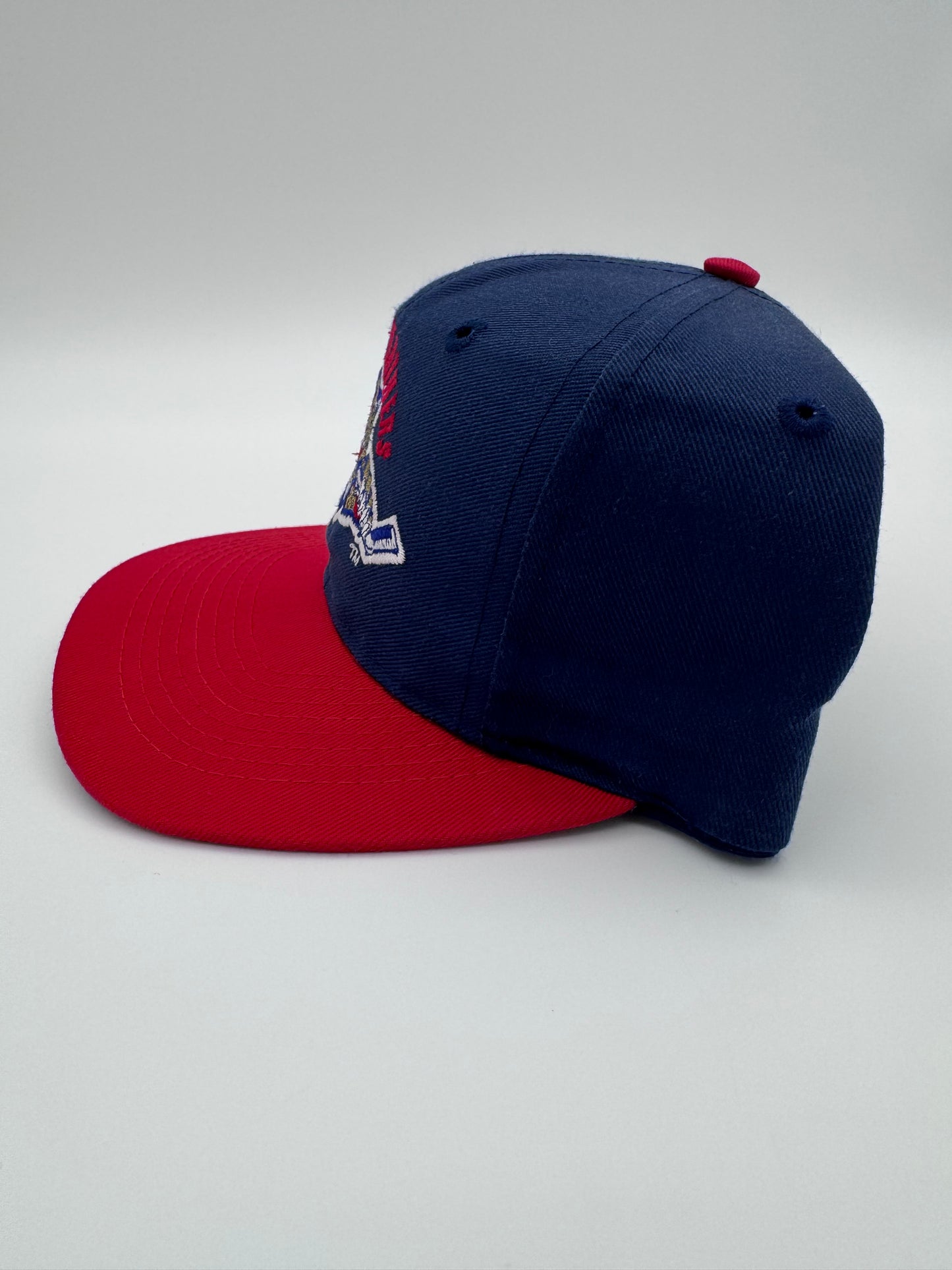 90S FLORIDA PANTHERS ARENA COLLECTION SNAPBACK HAT