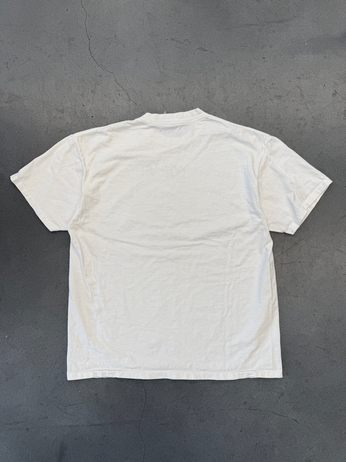 1999 POKEMON GOT YA! CAGE TEE (POWERPRO ONEITA TAG)
