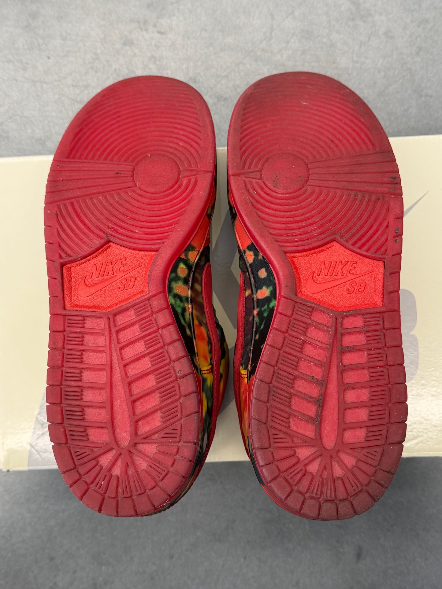 2024 NIKE SB DUNK LOW THE WIZARD OF OZ POPPY FIELD (W/BOX)