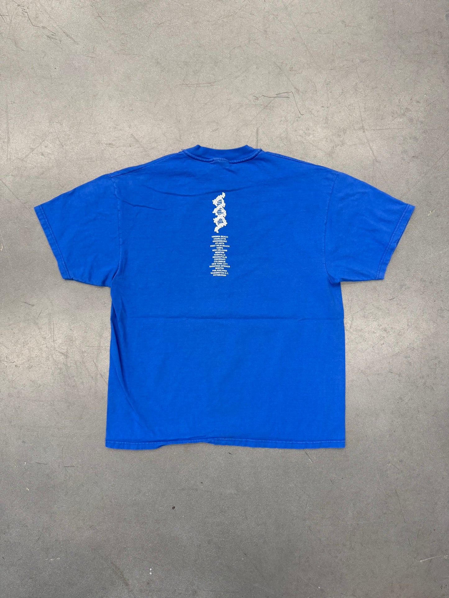 2000 PEARL JAM BINAURAL TOUR DNA TEE (HANES TAG)