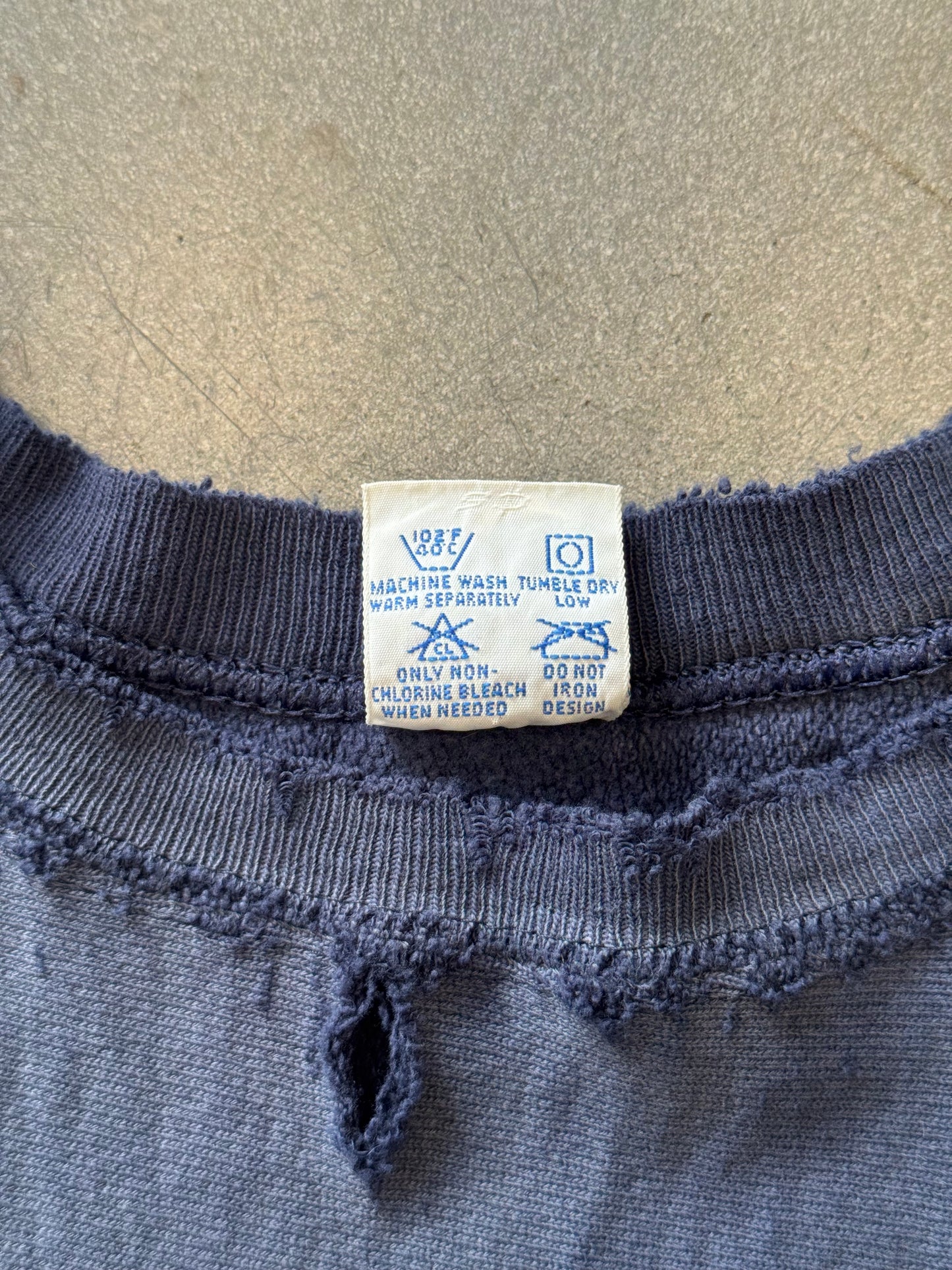 VINTAGE CHAMPION REVERSE WEAVE MICHIGAN DISTRESSED CREWNECK SWEATER