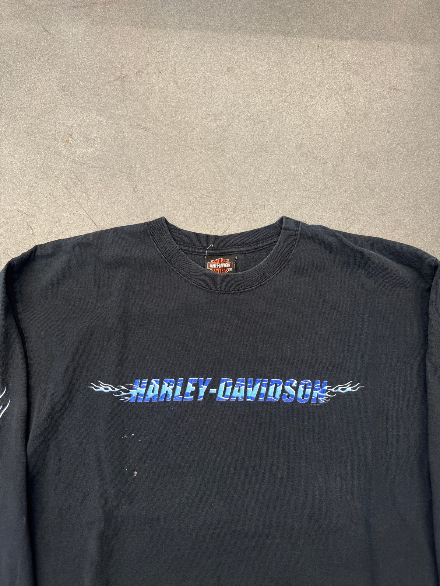 2001 HARLEY-DAVIDSON ARBOR VITAE, WI LS BLUE FLAMES TEE