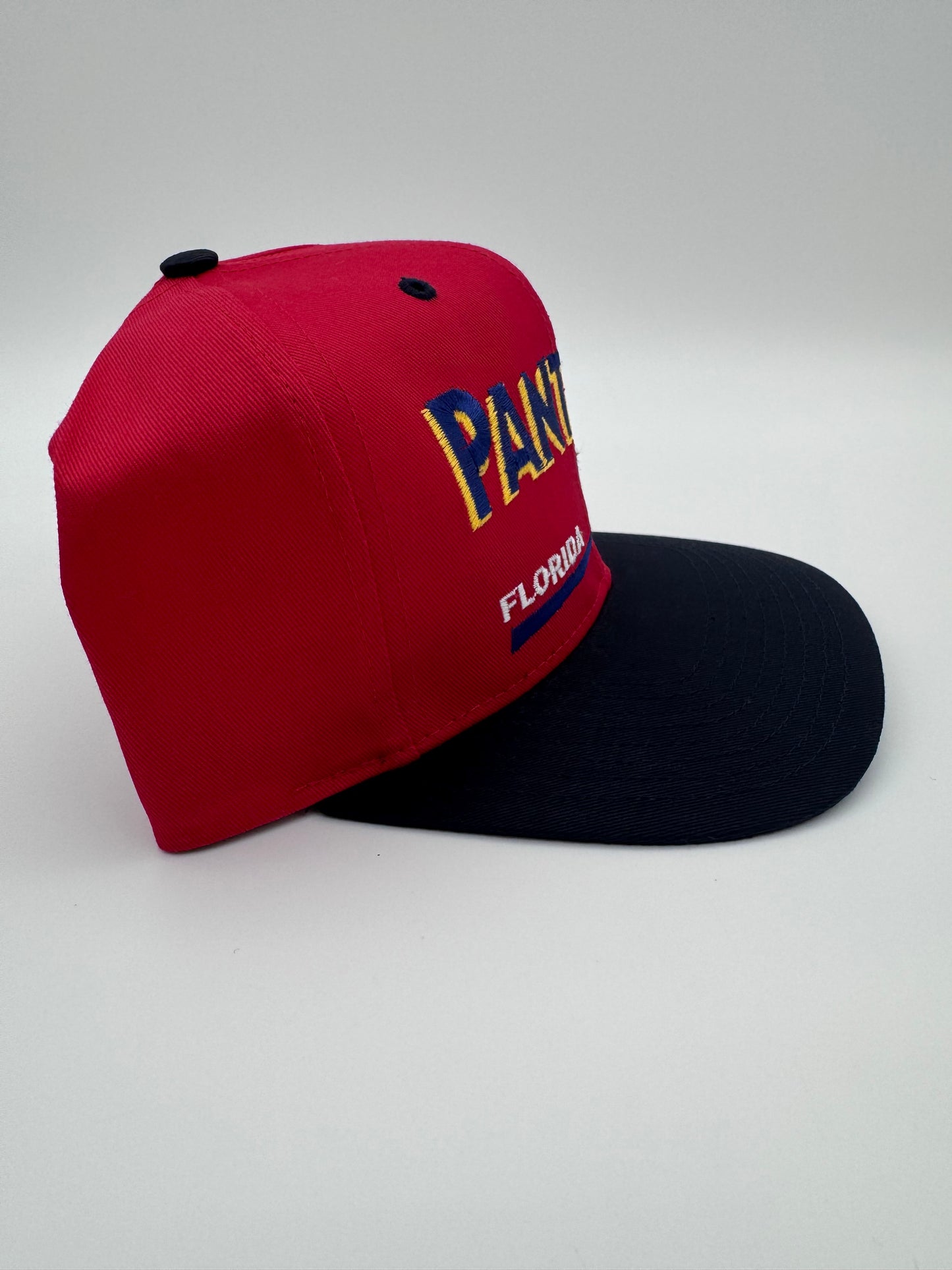 90S FLORIDA PANTHERS TWIN ENTERPRISE SNAPBACK HAT
