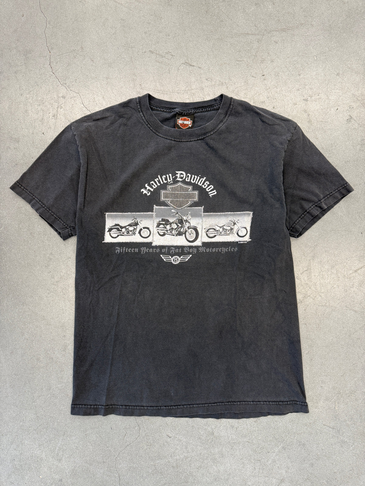 2004 HARLEY-DAVIDSON FIFTEEN YEARS SPACE COAST MELBOURNE FLORIDA TEE