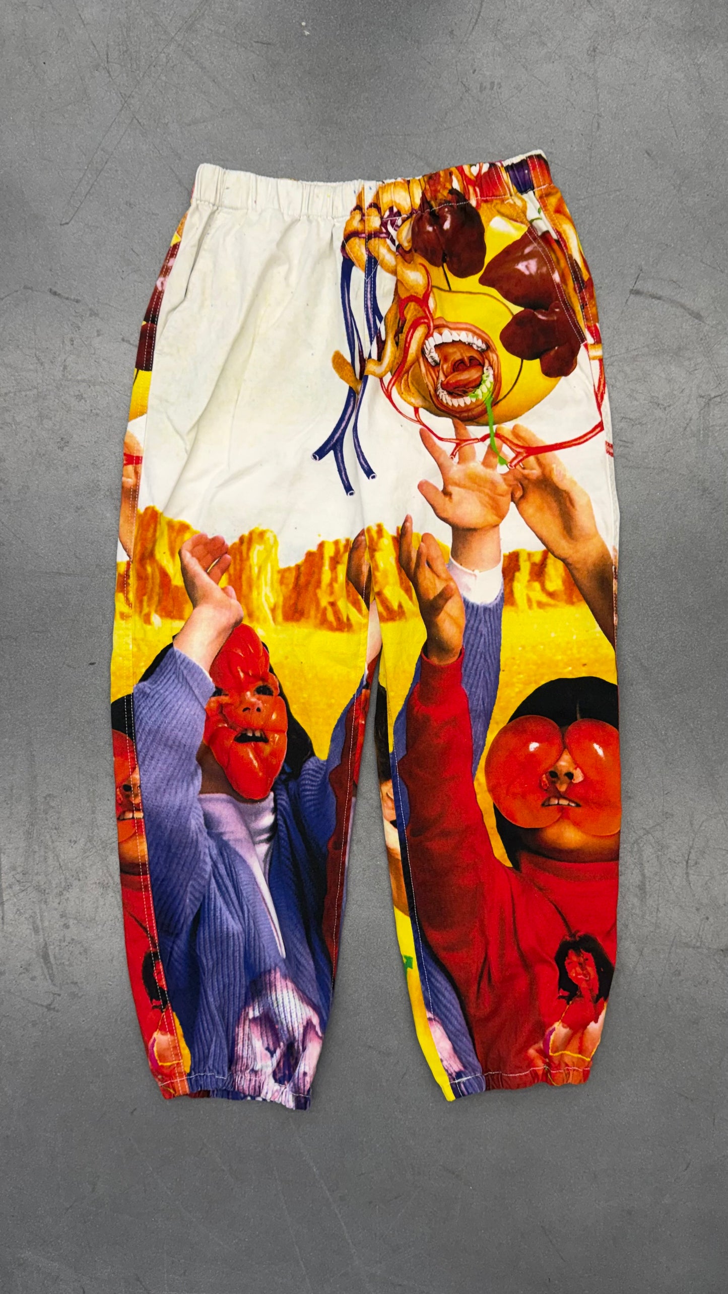 SS19 SUPREME SEKINTANI LA NORIHIRO SKATE PANTS - MULTICOLOR