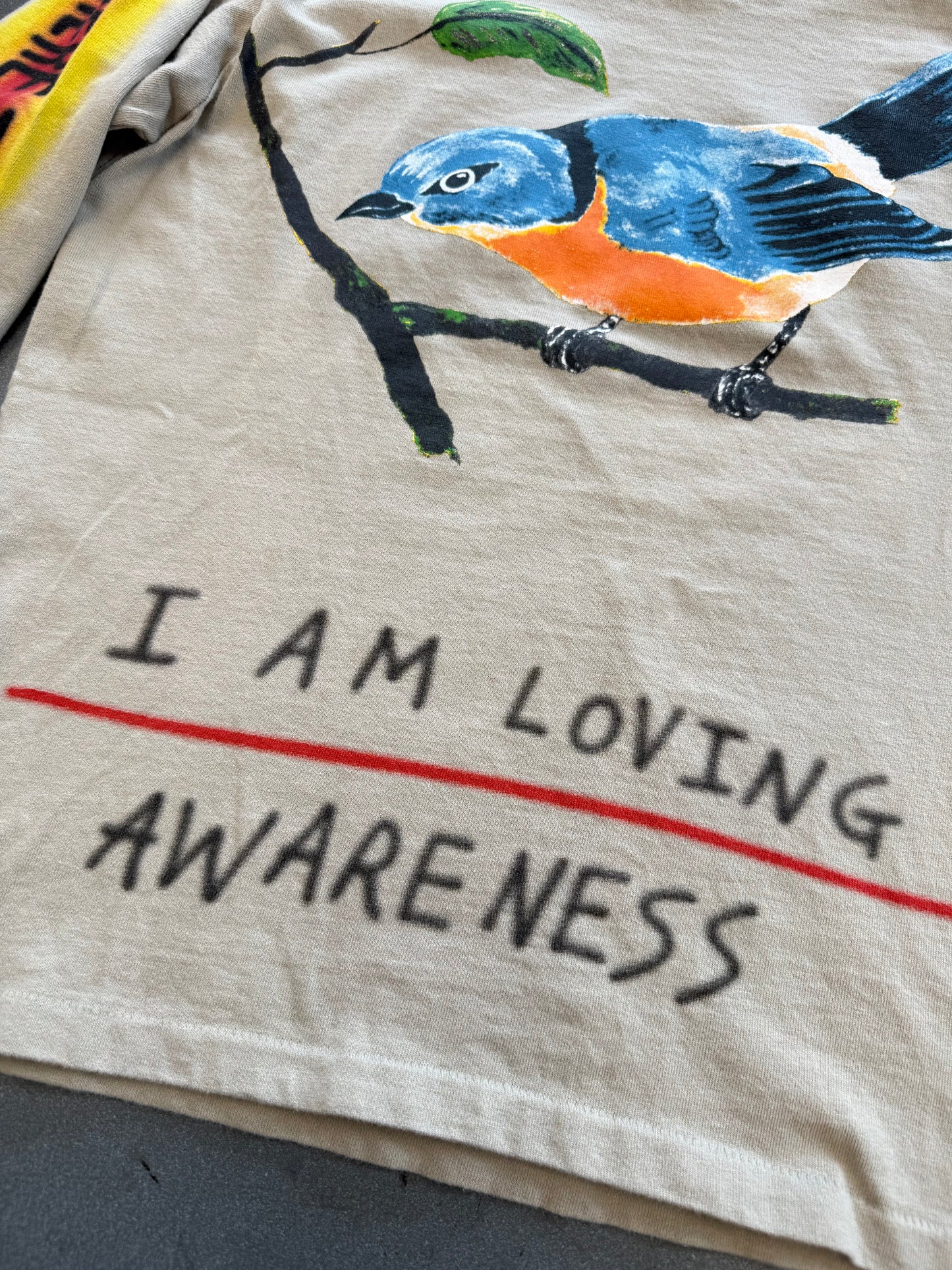 FW18 YEEZY WES LANG BIRD L/S TEE - VAPOR (S)