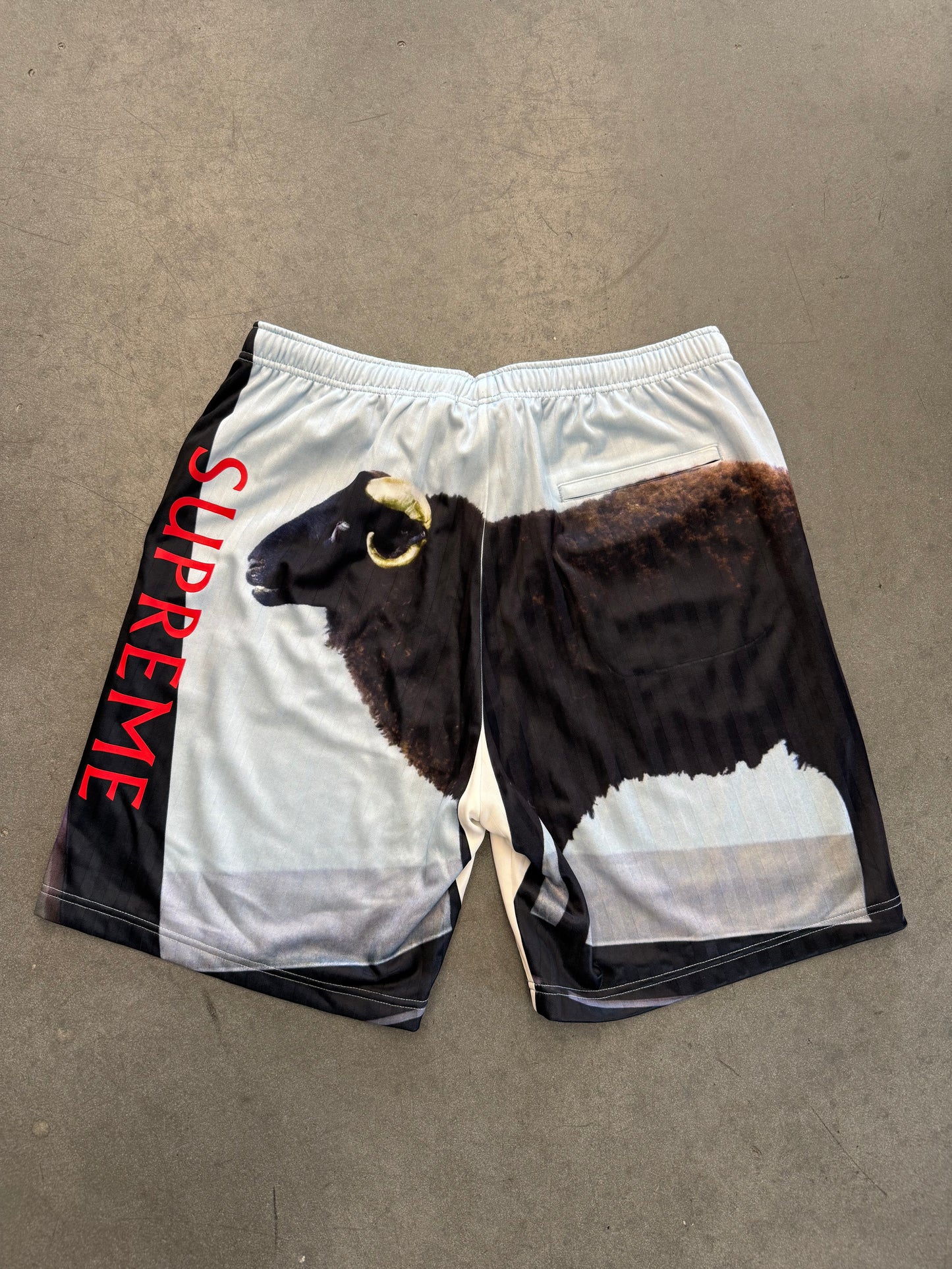 SS25 SUPREME DAMIEN HIRST RAM SOCCER SHORT - BLACK