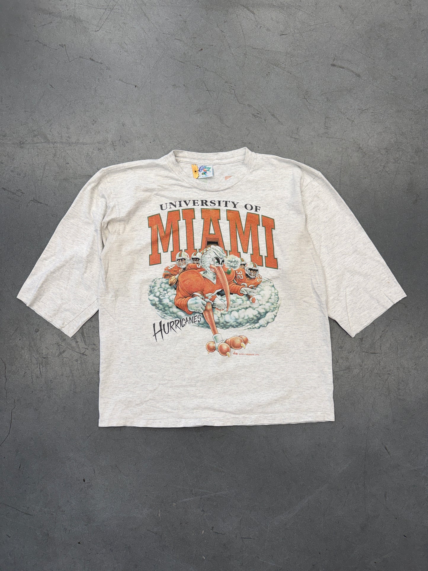 1993 UNIVERSITY OF MIAMI HURRICANES TEAM CLOUD TEE (CARIBBEAN SOUL TAG)