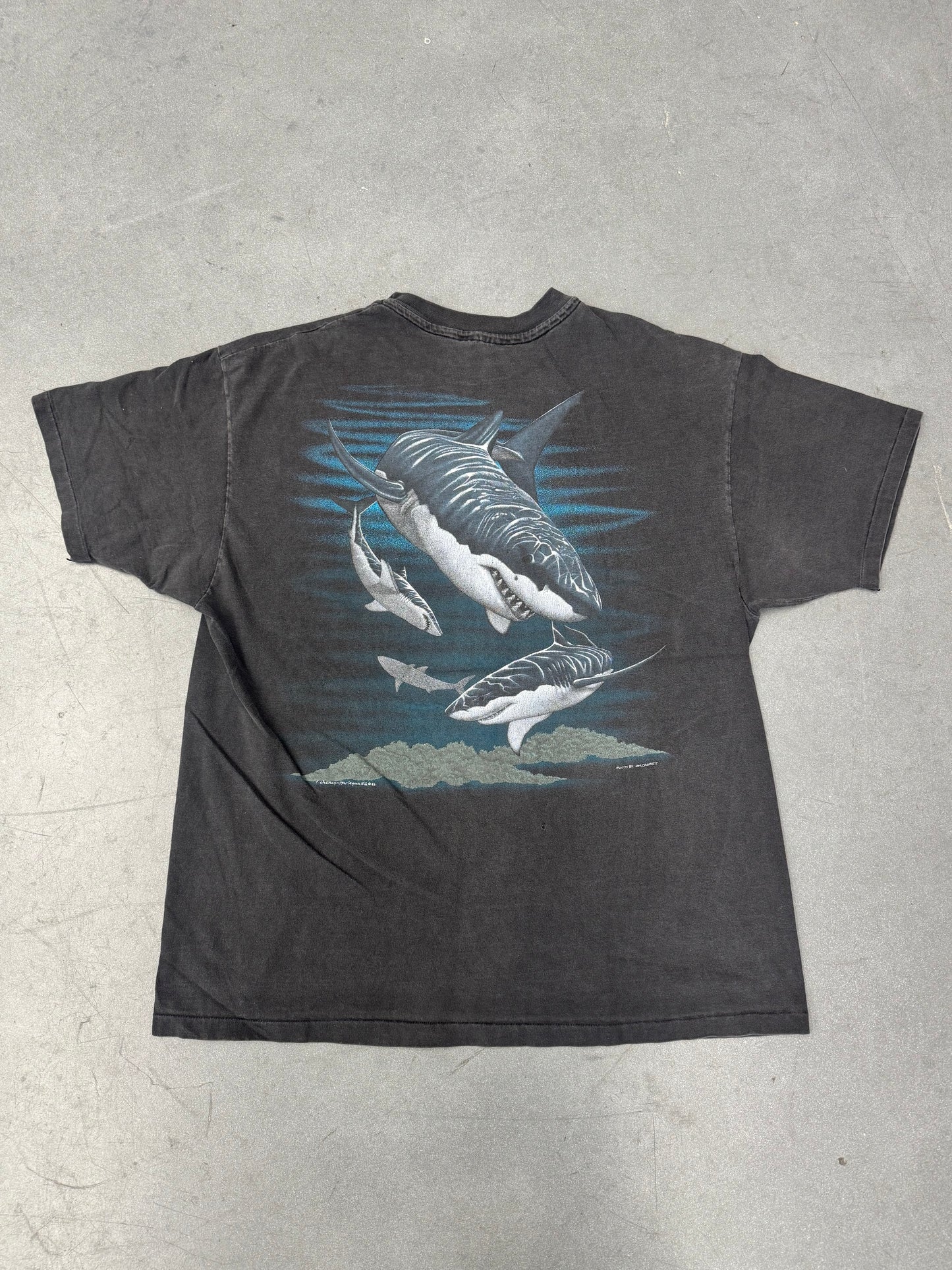 1993 HARLEQUIN GREAT WHITE SHARKS TEE (HANES TAG)