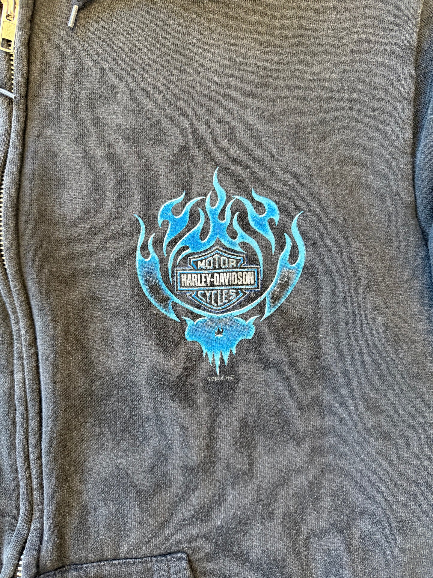 2004 HARLEY-DAVIDSON BLUE RIDERS FLAME FULL-ZIP HOODIE