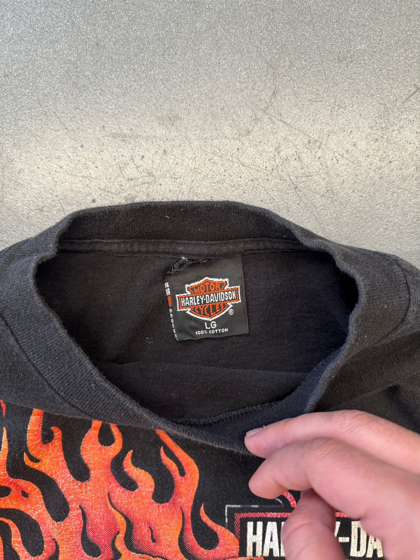 1998 HARLEY-DAVIDSON UNTAMED TIGER FLAME LS (HARLEY TAG)