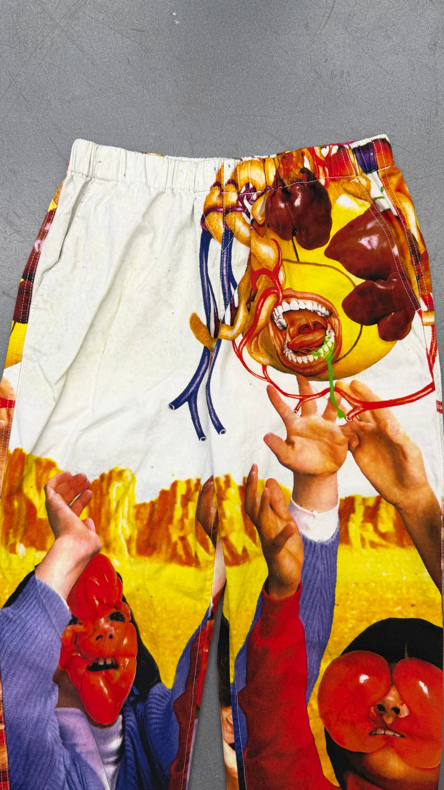 SS19 SUPREME SEKINTANI LA NORIHIRO SKATE PANTS - MULTICOLOR
