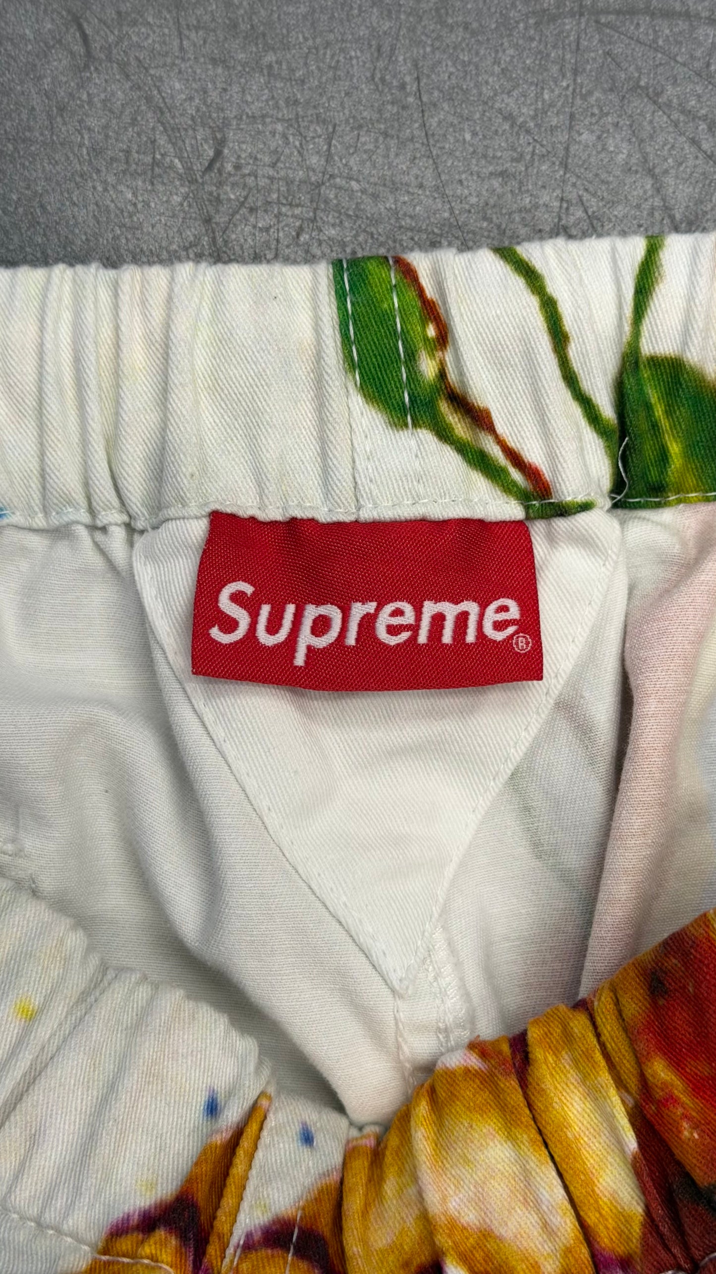SS19 SUPREME SEKINTANI LA NORIHIRO SKATE PANTS - MULTICOLOR