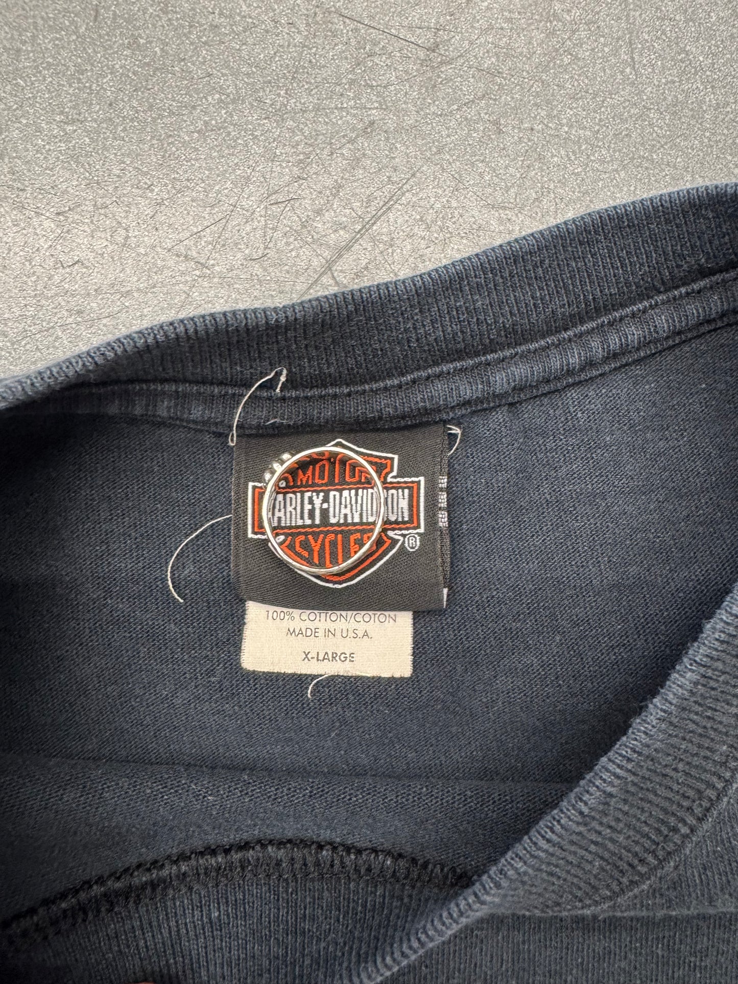2001 HARLEY-DAVIDSON ARBOR VITAE, WI LS BLUE FLAMES TEE
