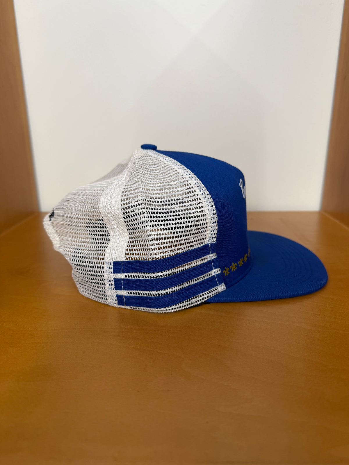 SS12 SUPREME CAMPBELL'S SOUP TRUCKER HAT - BLUE
