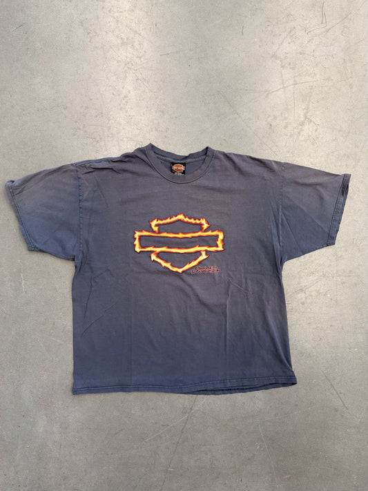 2001 DOUG'S HARLEY-DAVIDSON FLORENCE, S.C. FLAMING LOGO TEE