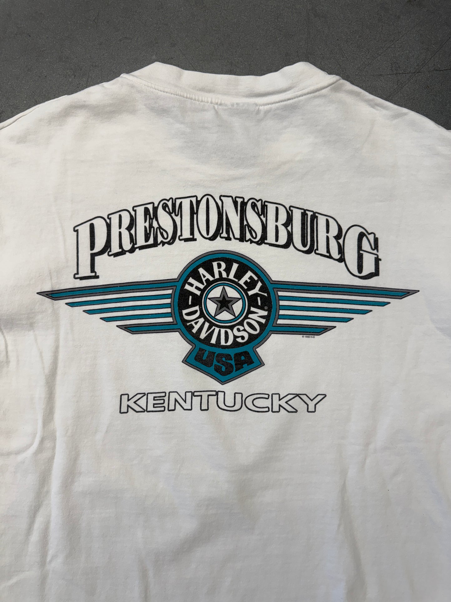 2000 HARLEY-DAVIDSON PRESTONSBURG KENTUCKY BLUE/PURPLE FLAMES LS TEE