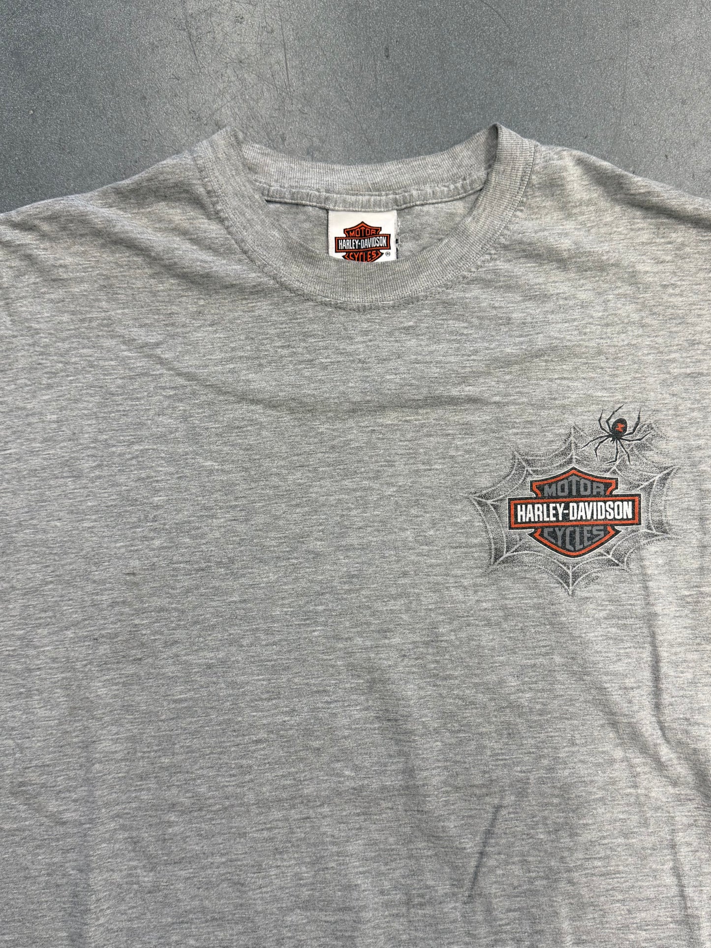2007 HARLEY-DAVIDSON GOLDSBORO, NC LS SPIDER WEB TEE