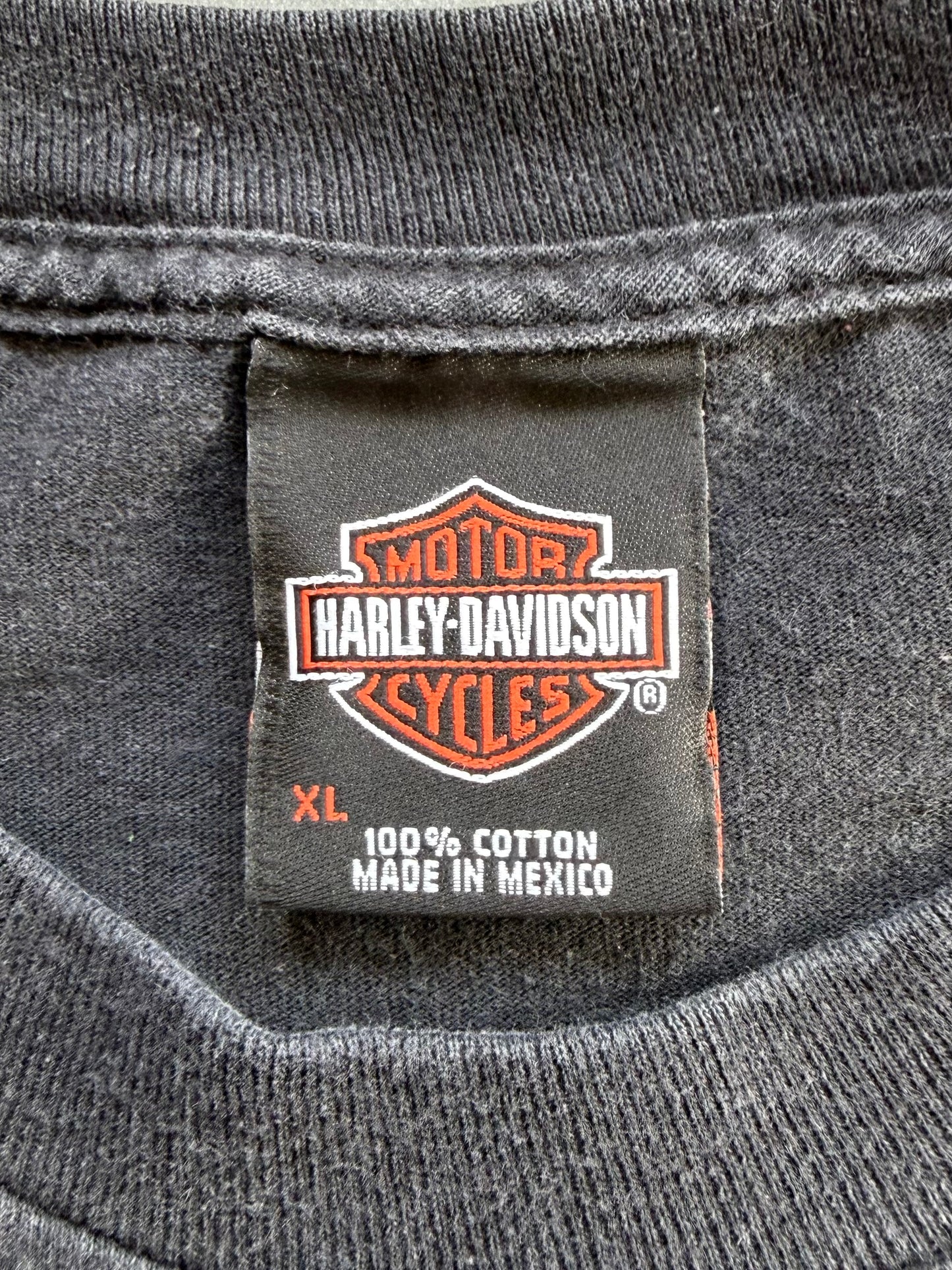 2011 HARLEY-DAVIDSON AMERICAN TRADITION CHATTANOOGA , TN LS TEE
